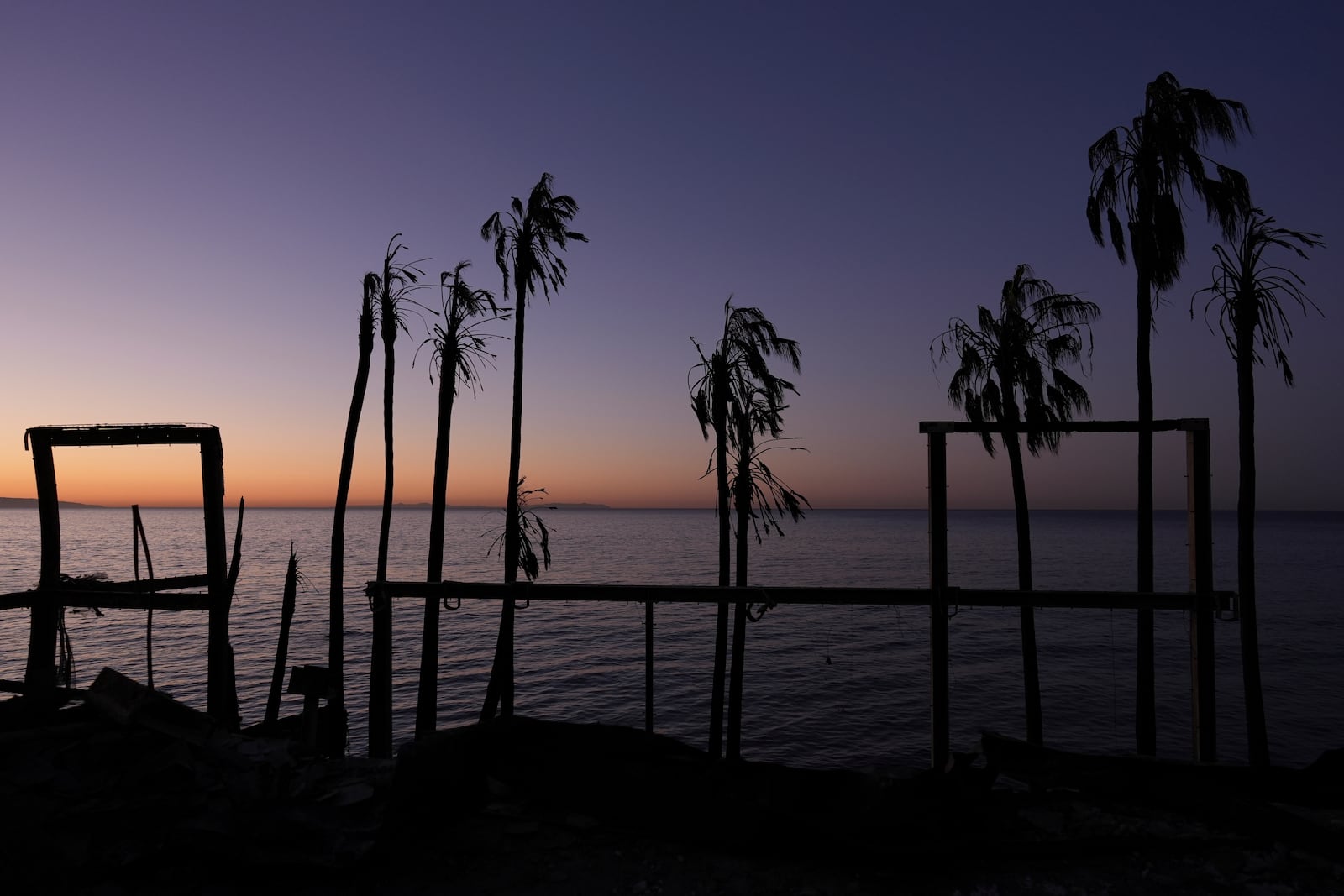 Charred trees stand as the sun rises along the Pacific Coast Highway, Tuesday, Jan. 14, 2025, in Malibu, Calif. (AP Photo/Carolyn Kaster)