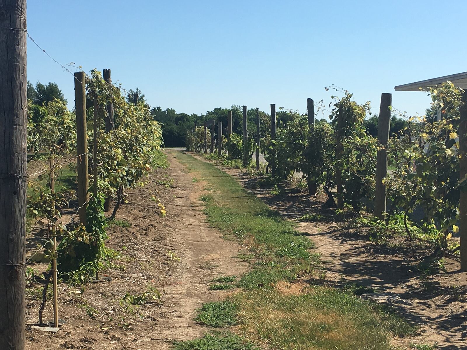 Hidden Valley Orchards offers more hands-on activities under new ownership.