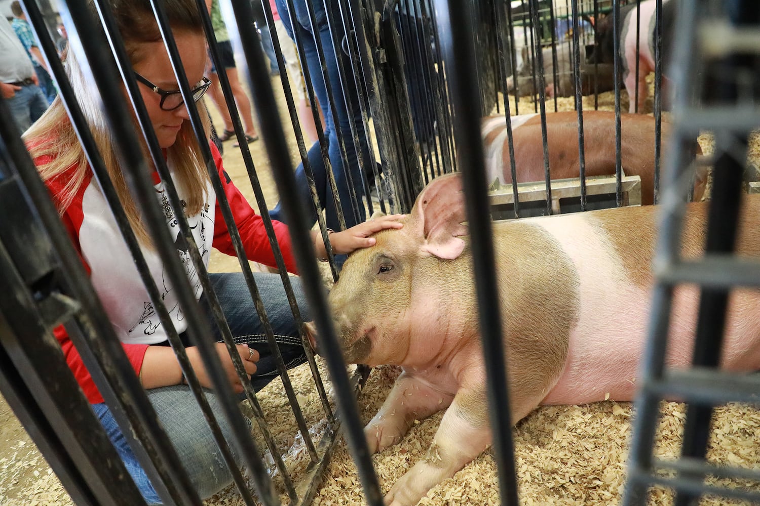 85 PHOTOS: 2019 Clark County Fair