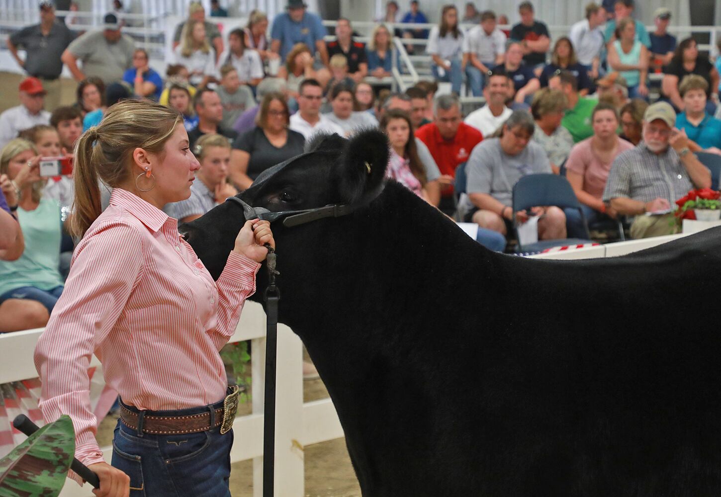 85 PHOTOS: 2019 Clark County Fair