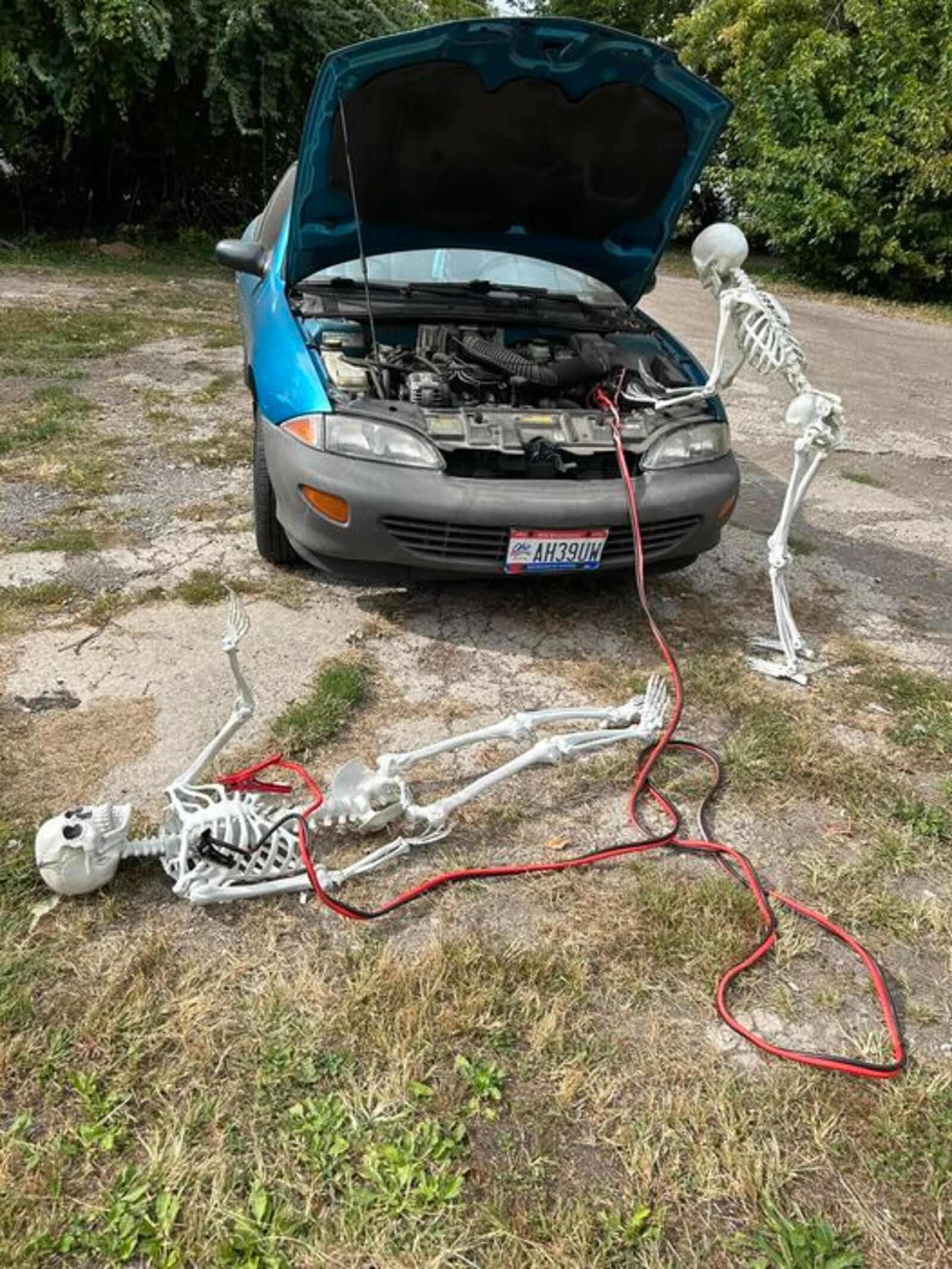 Sharon Thornton poses her two fake skeletons for photos around Springfield. Here, Hank is shown with jumper cables and to his skeleton friend, Bonenita. CONTRIBUTED