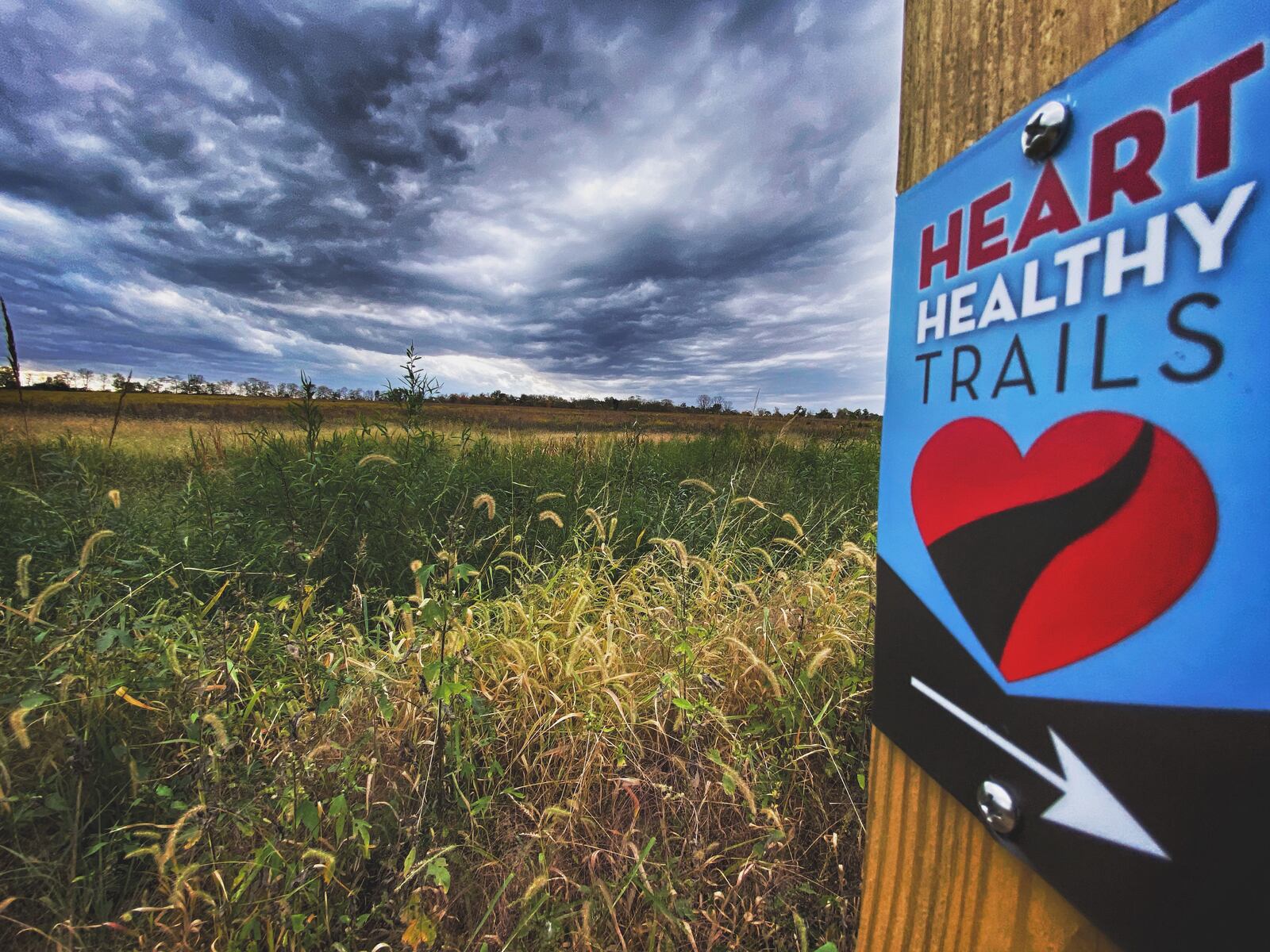 A great place to start a wellness journey is by walking MetroParks' new Heart Healthy Trails on the Wolf Creek Trail and in Island and Germantown MetroParks. MIKE COOPER/CONTRIBUTED