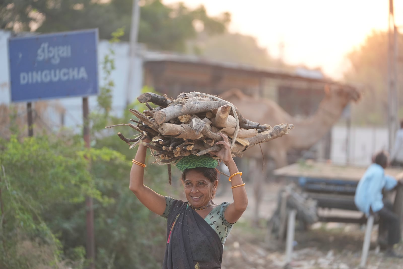 A woman carries firewood on her head at Dingucha village in Gandhinagar district of Gujarat state, India, Tuesday, Nov. 12, 2024. (AP Photo/Ajit Solanki)