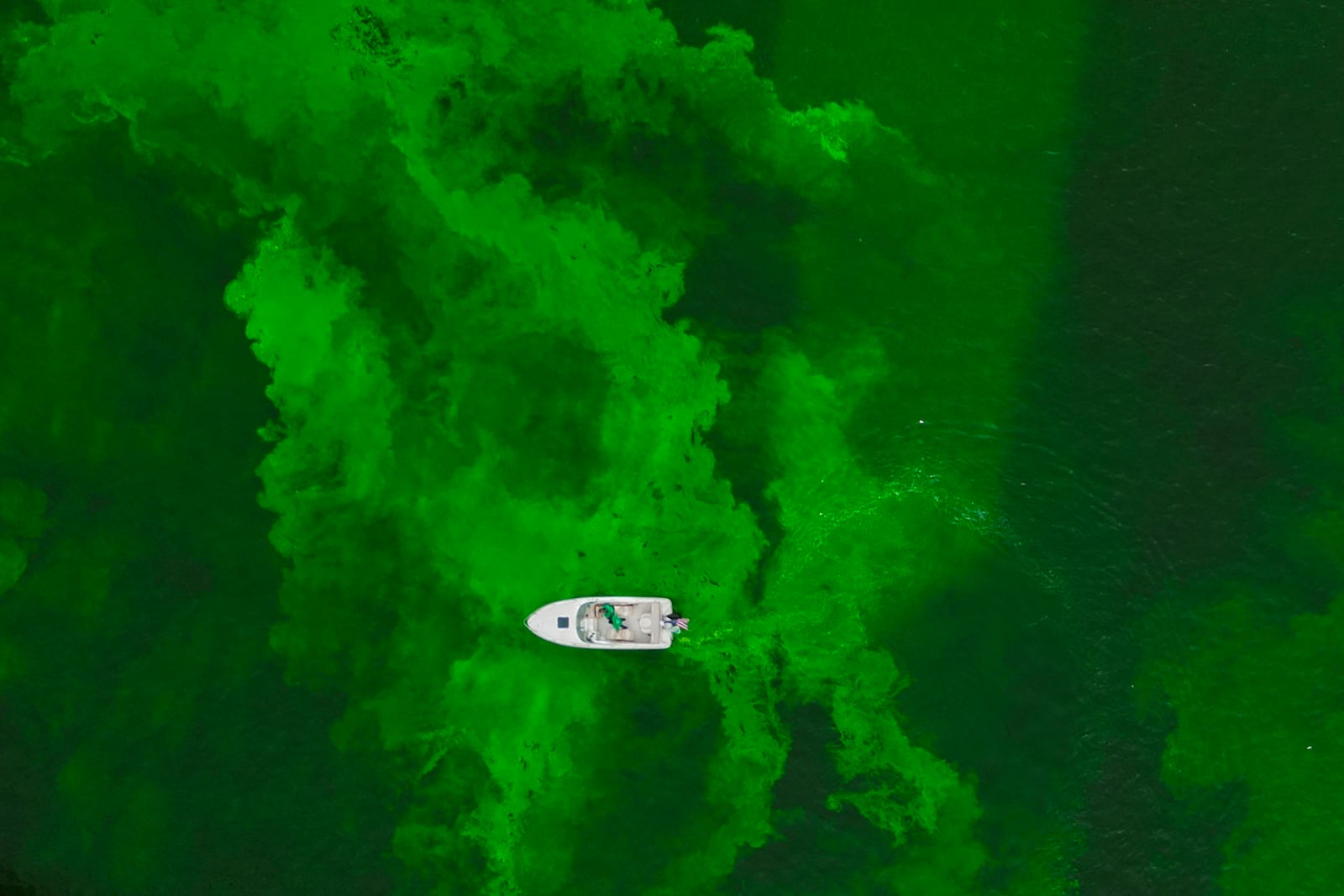 The Chicago River is dyed green as part of annual St. Patrick's Day festivities Saturday, March 15, 2025, in Chicago. (AP Photo/Erin Hooley)