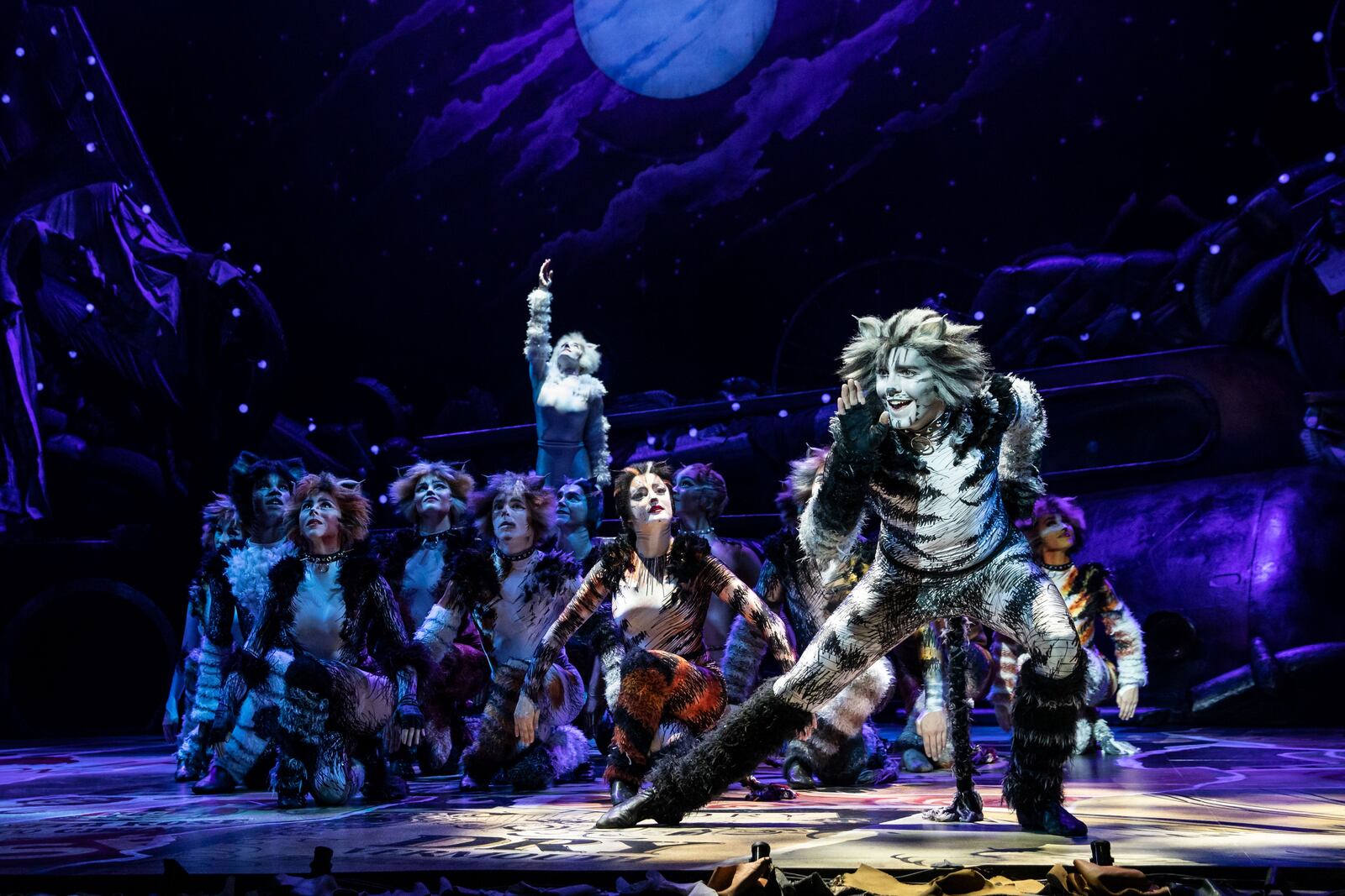 Dan Hoy as Munkustrap and the North American Tour of "CATS," presented by Dayton Live at the Schuster Center. PHOTO BY MATTHEW MURPHY