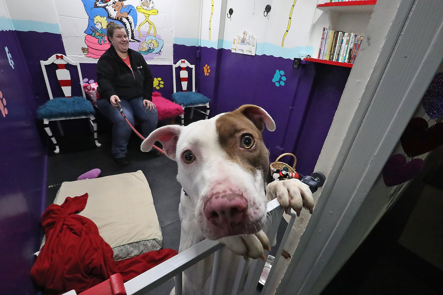 PHOTOS: SPCA's Hearts for Hounds