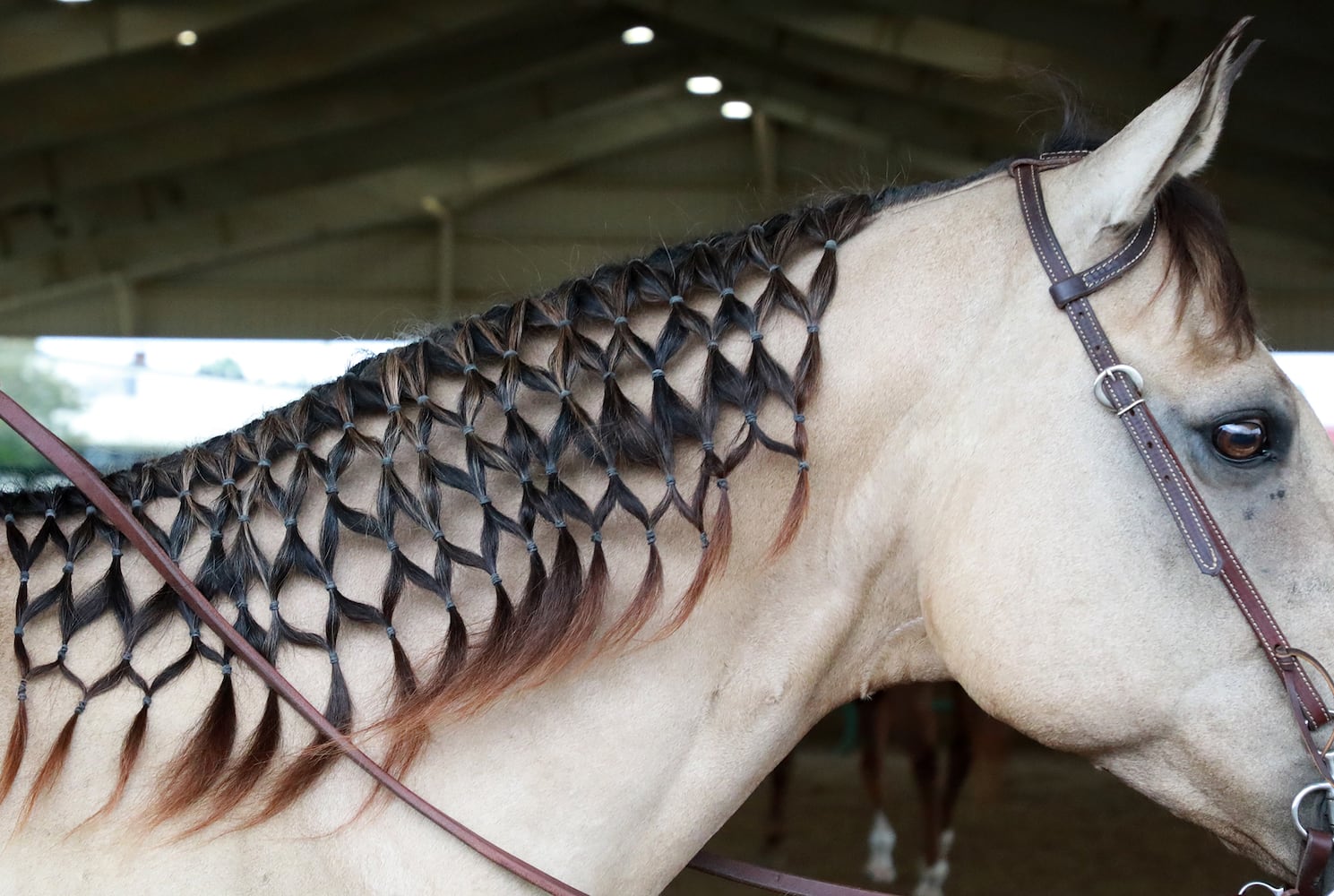 85 PHOTOS: 2019 Clark County Fair