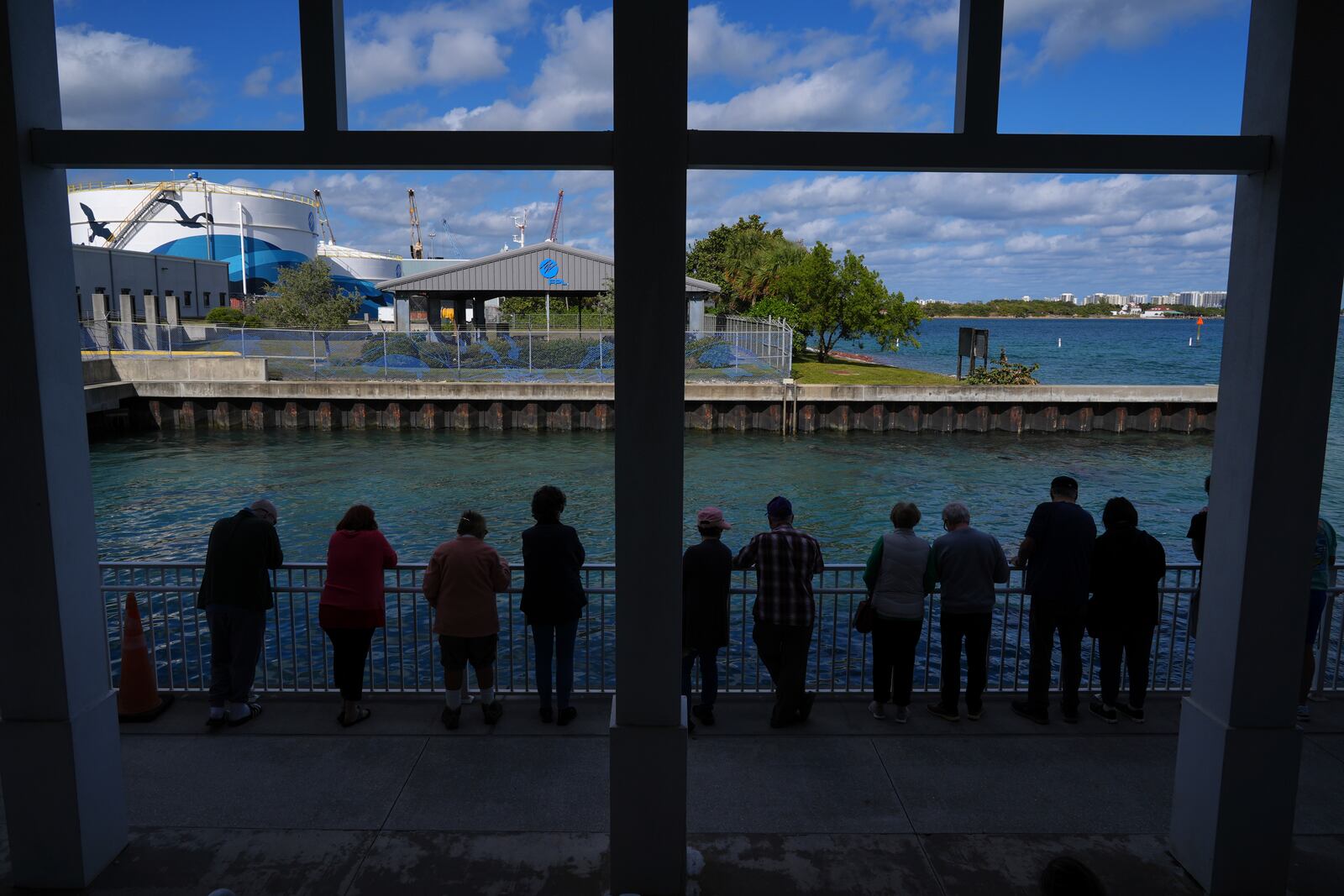 Visitors watch manatees swim at Manatee Lagoon, a free attraction operated by Florida Power & Light Company that lets the public view and learn about the sea cows who gather in winter in the warm-water outflows of the company's power plant, in Riviera Beach, Fla., Friday, Jan. 10, 2025. (AP Photo/Rebecca Blackwell)