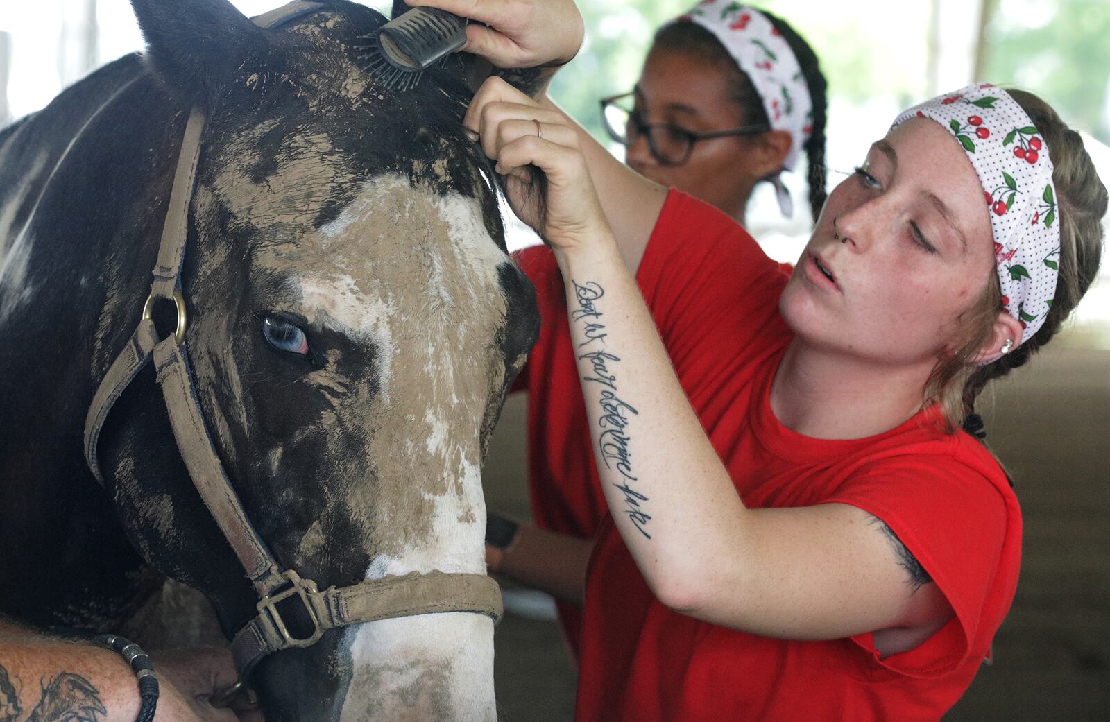 A team competes in the horse Groom and Clean competition Sunday at the Clark County Fair. BILL LACKEY/STAFF