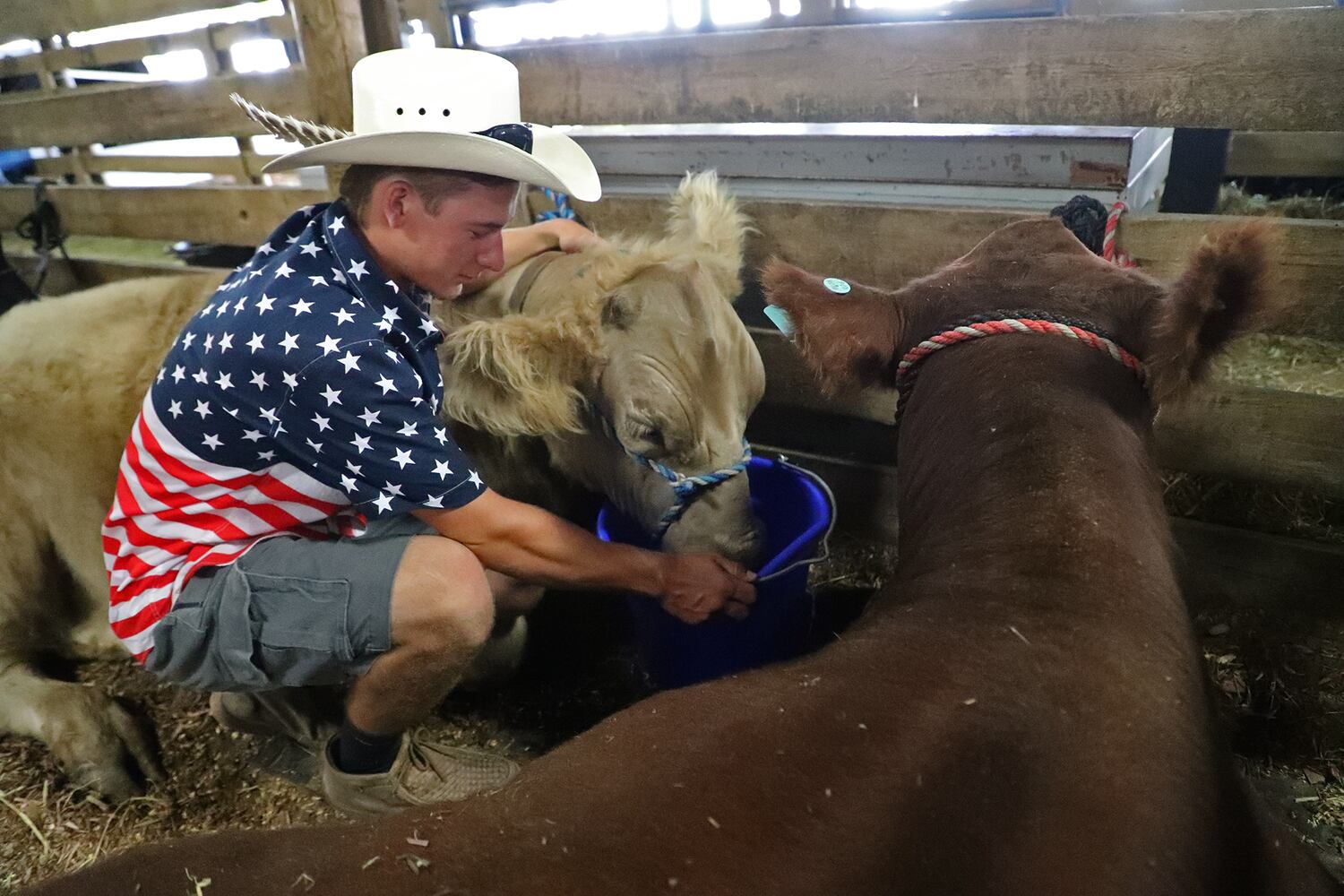 PHOTOS: Sunday at the Champaign County Fair