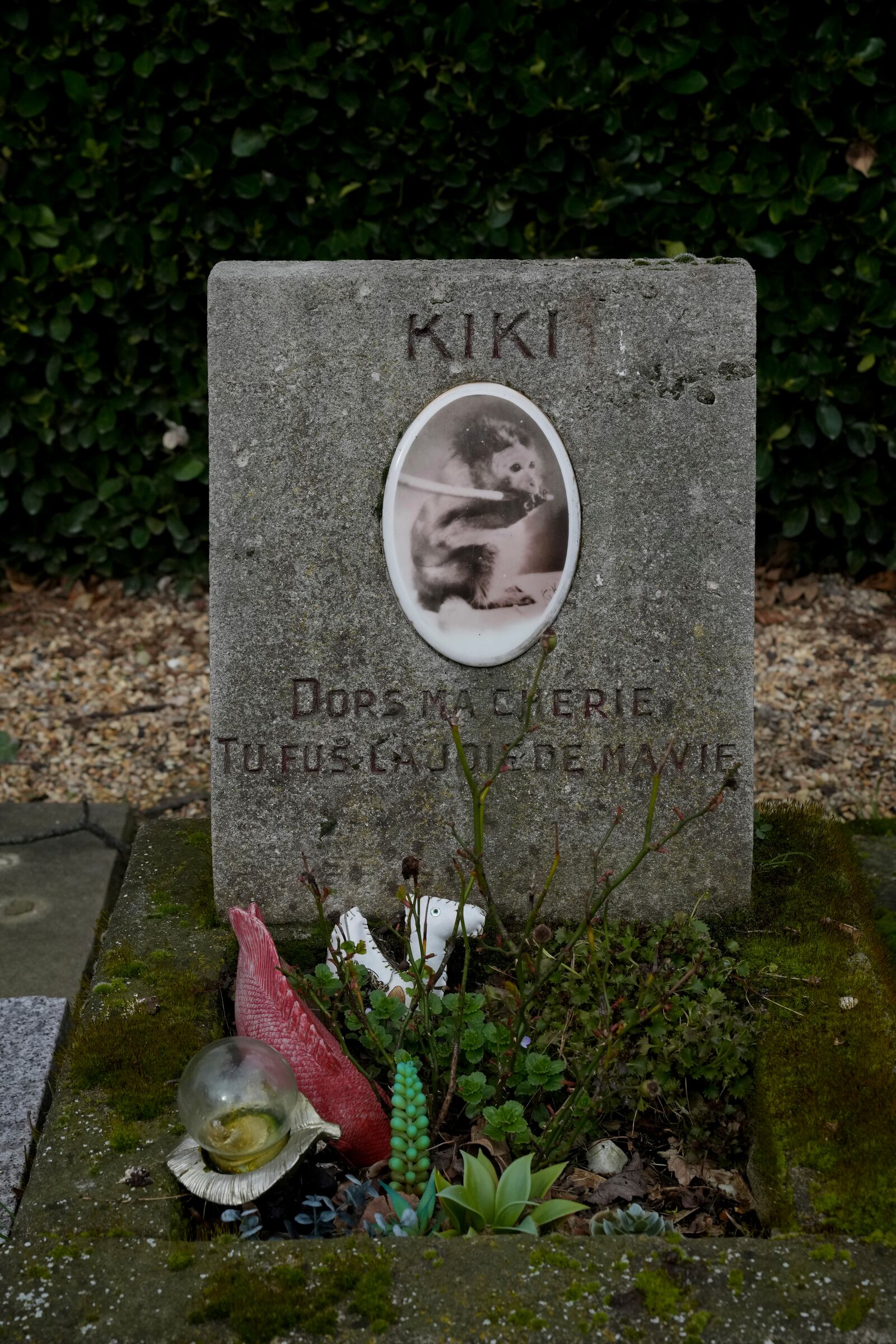 A grave for a monkey named "Kiki" is seen at the pet cemetery of Asnieres-sur-Seine, west of Paris, Friday, Feb. 21, 2025. (AP Photo/Michel Euler)