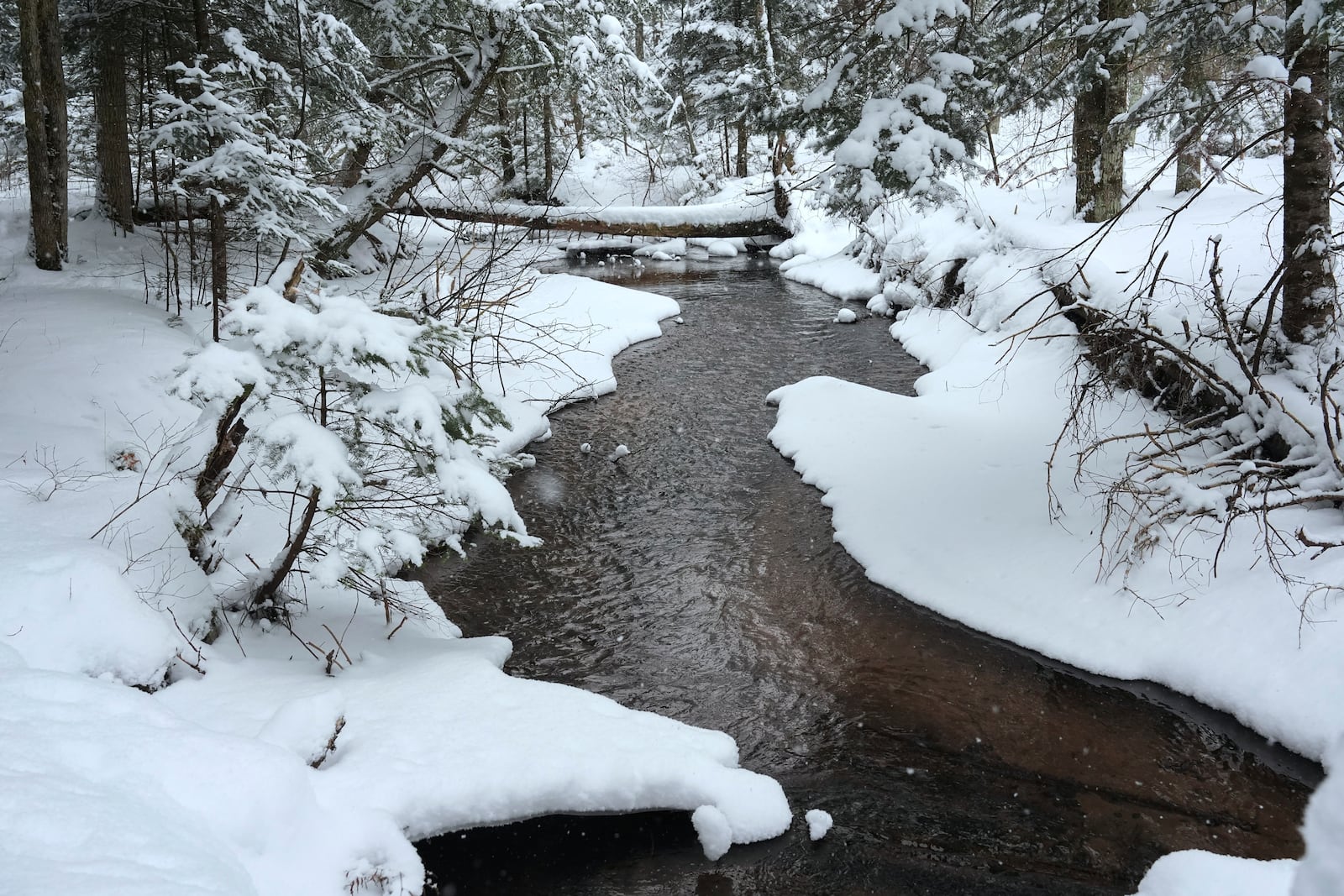 A small stream flows through a forest Saturday, Feb. 15, 2025, in Mason, Wis. (AP Photo/Joshua A. Bickel)