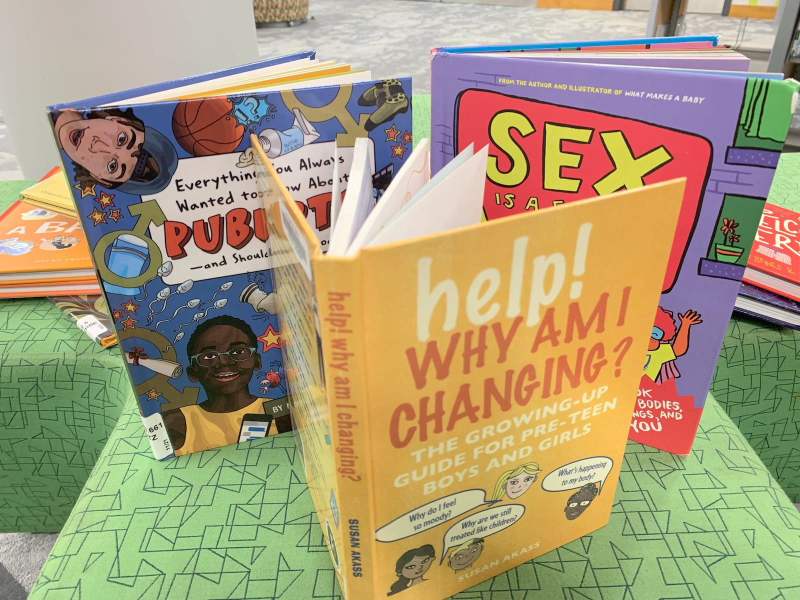 Sex education material for children at the Dayton Metro Library