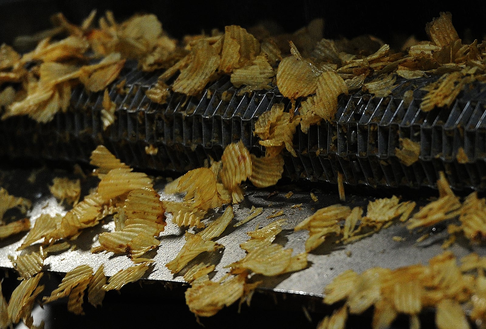 Freshly cooked groovy Mikesell's Potato chips roll along the conveyor belt Thursday Dec. 1, 2022. MARSHALL GORBY\STAFF