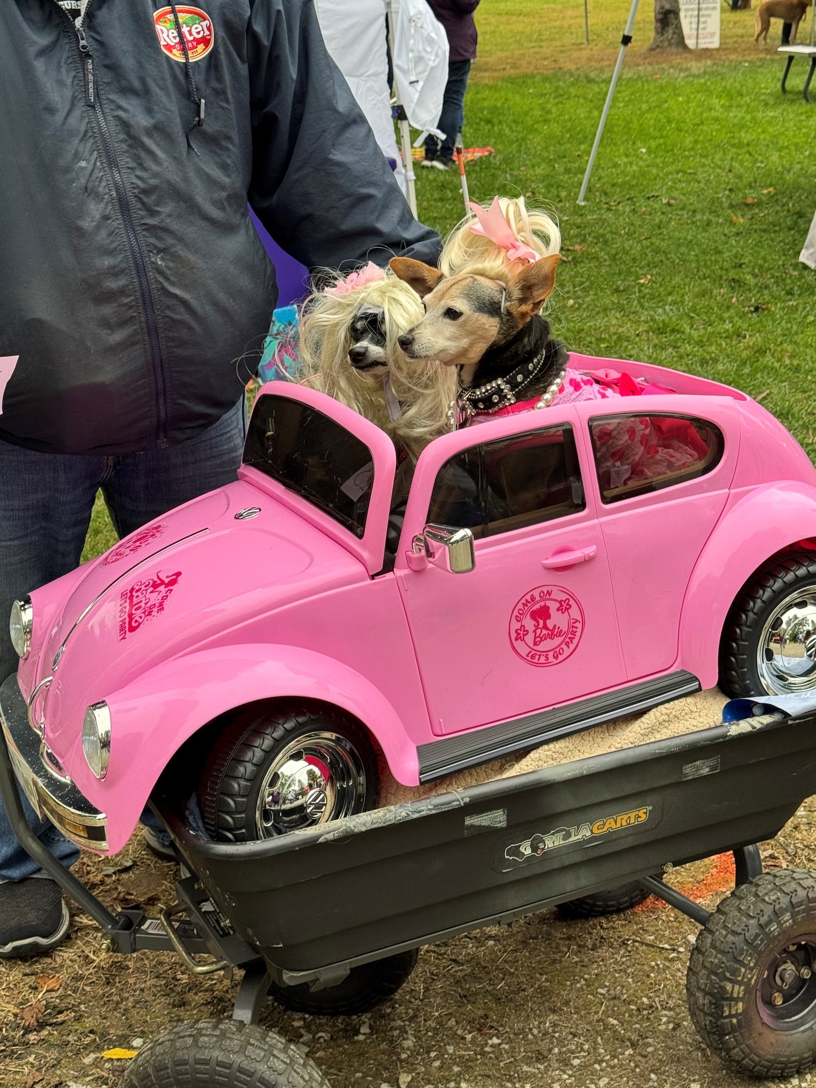 The 15th annual Dogtoberfest, Clark County SPCA’s biggest fundraiser of the year, will be held from noon to 5 p.m. on Saturday, Oct. 12, at Brandeberry Winery, 5118 Jackson Road in Enon. Contributed