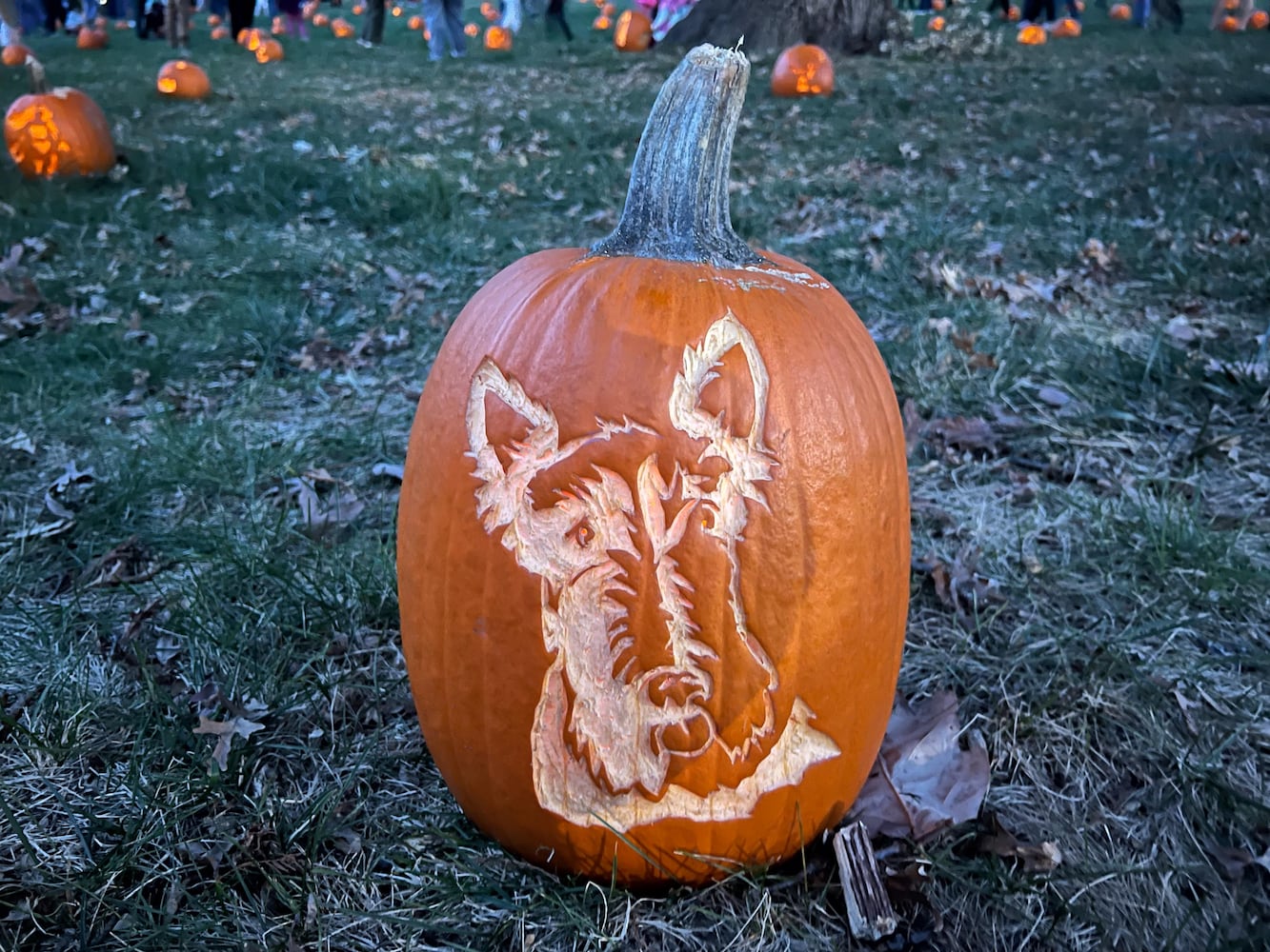 PHOTOS: The 30th annual Stoddard Avenue Pumpkin Glow