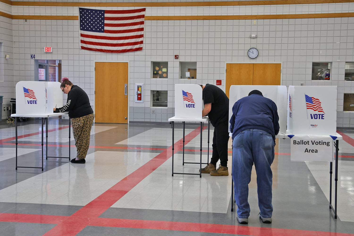 Election Day Voting SNS