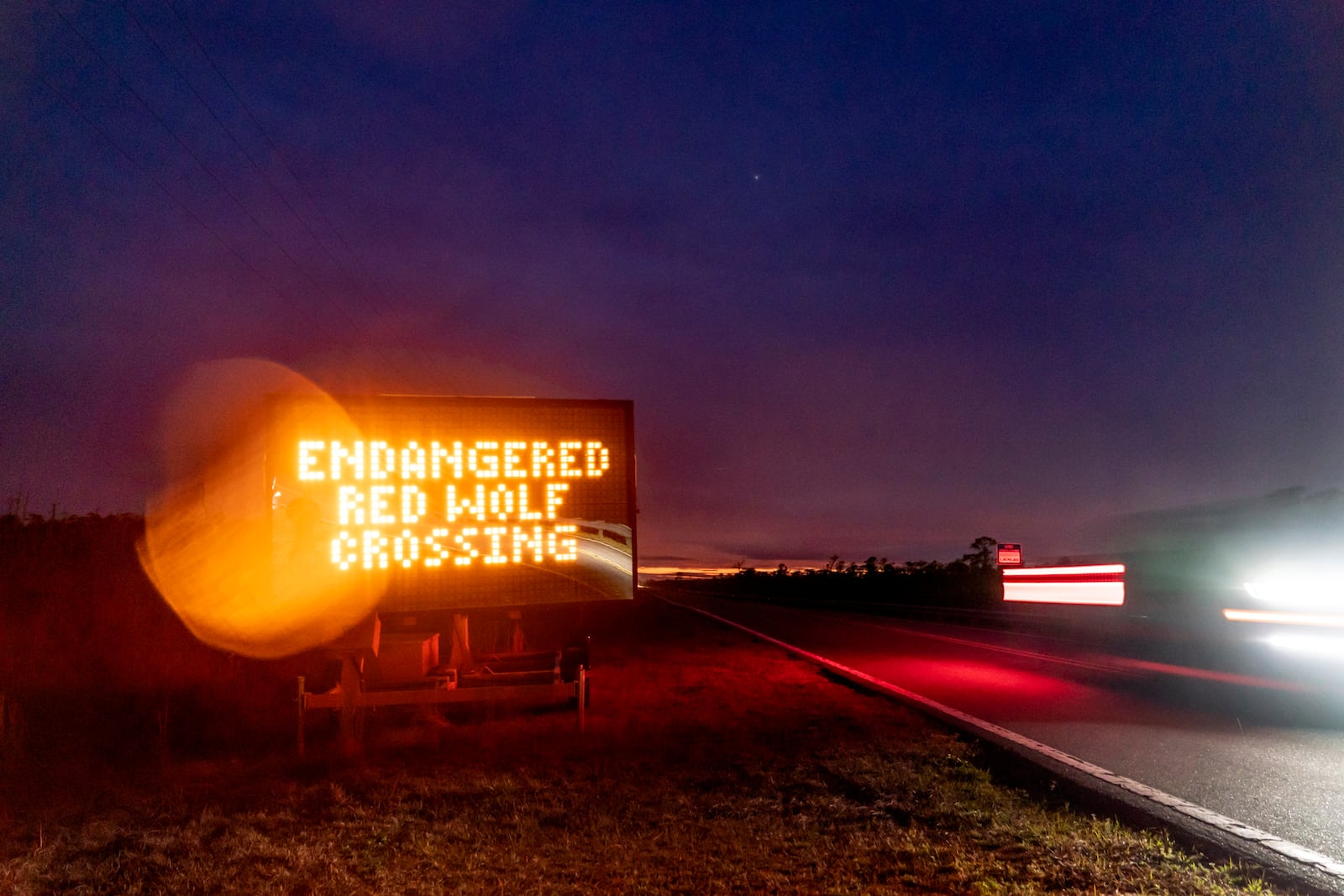 FILE - A sign warns motorists on U.S. 64 to watch out for crossing red wolves on the Alligator River National Wildlife Refuge, March 22, 2023, near Manns Harbor, N.C. (AP Photo/David Goldman, File)