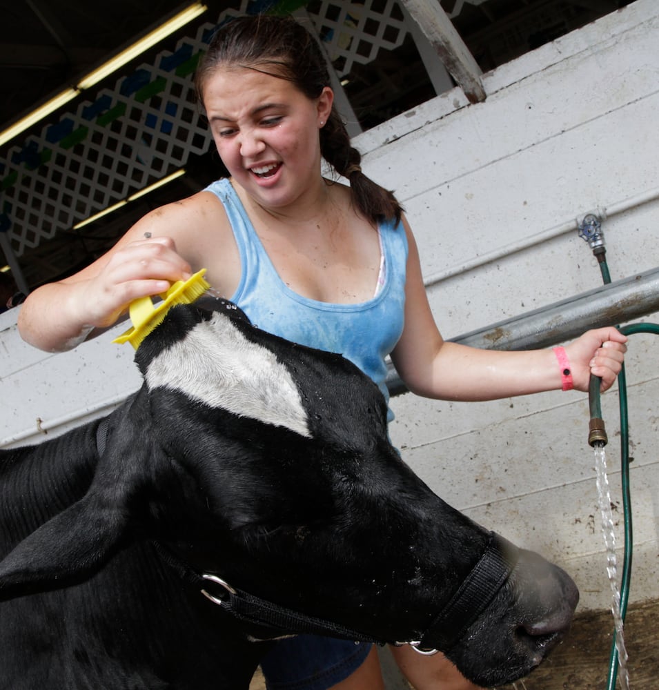 Clark County Fair