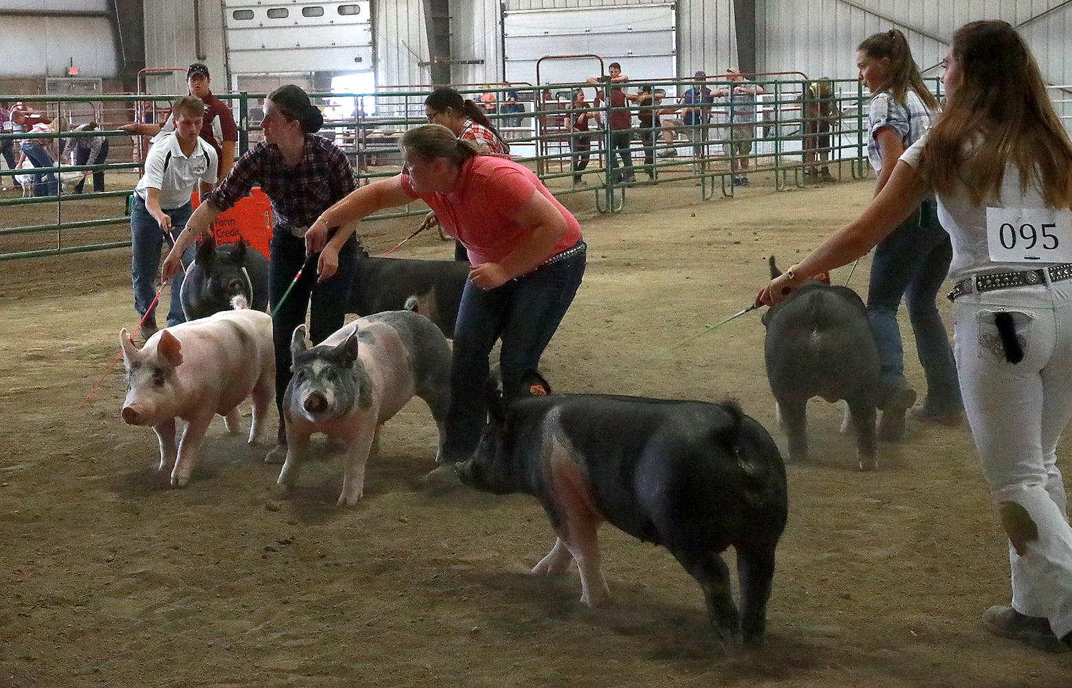 85 PHOTOS: 2019 Clark County Fair