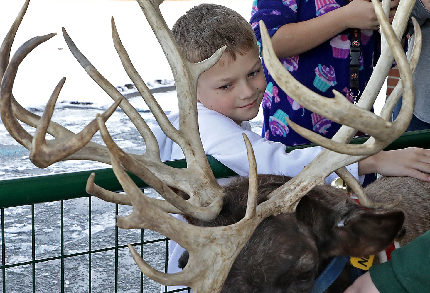 PHOTOS: Reindeers Visit South Vienna School