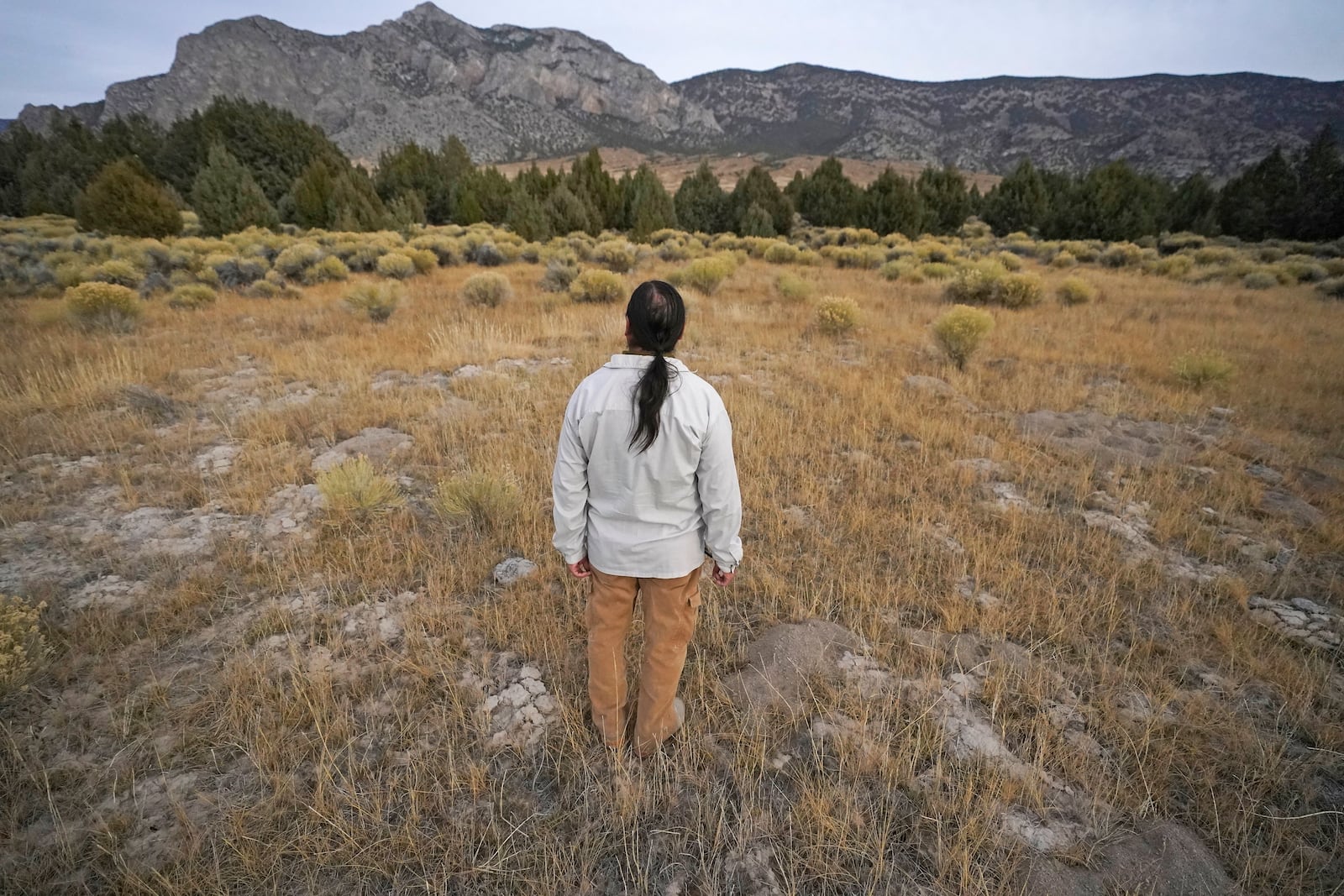 FILE - Rick Spilsbury looks in the direction of Rocky Mountain juniper trees on Nov. 11, 2023, in Bahsahwahbee, a site in eastern Nevada that is sacred to members of the Ely Shoshone, Duckwater Shoshone and the Confederated Tribes of the Goshute Reservation. Their ancestors were massacred by white people on several occasions at this site and tribal members believe their spirits live on in the trees. (AP Photo/Rick Bowmer, File)