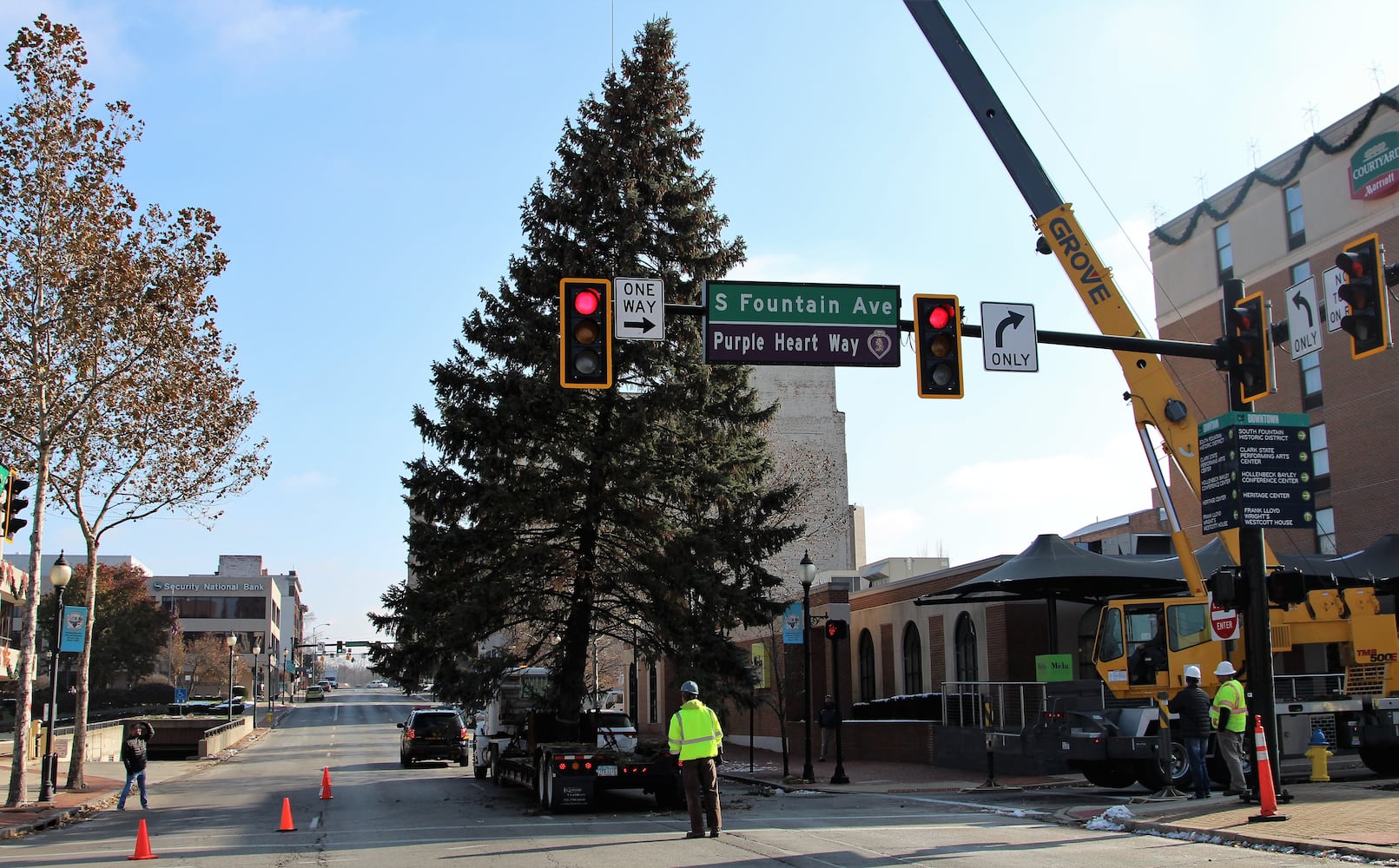 PHOTOS: Springfield Gets Holiday Tree