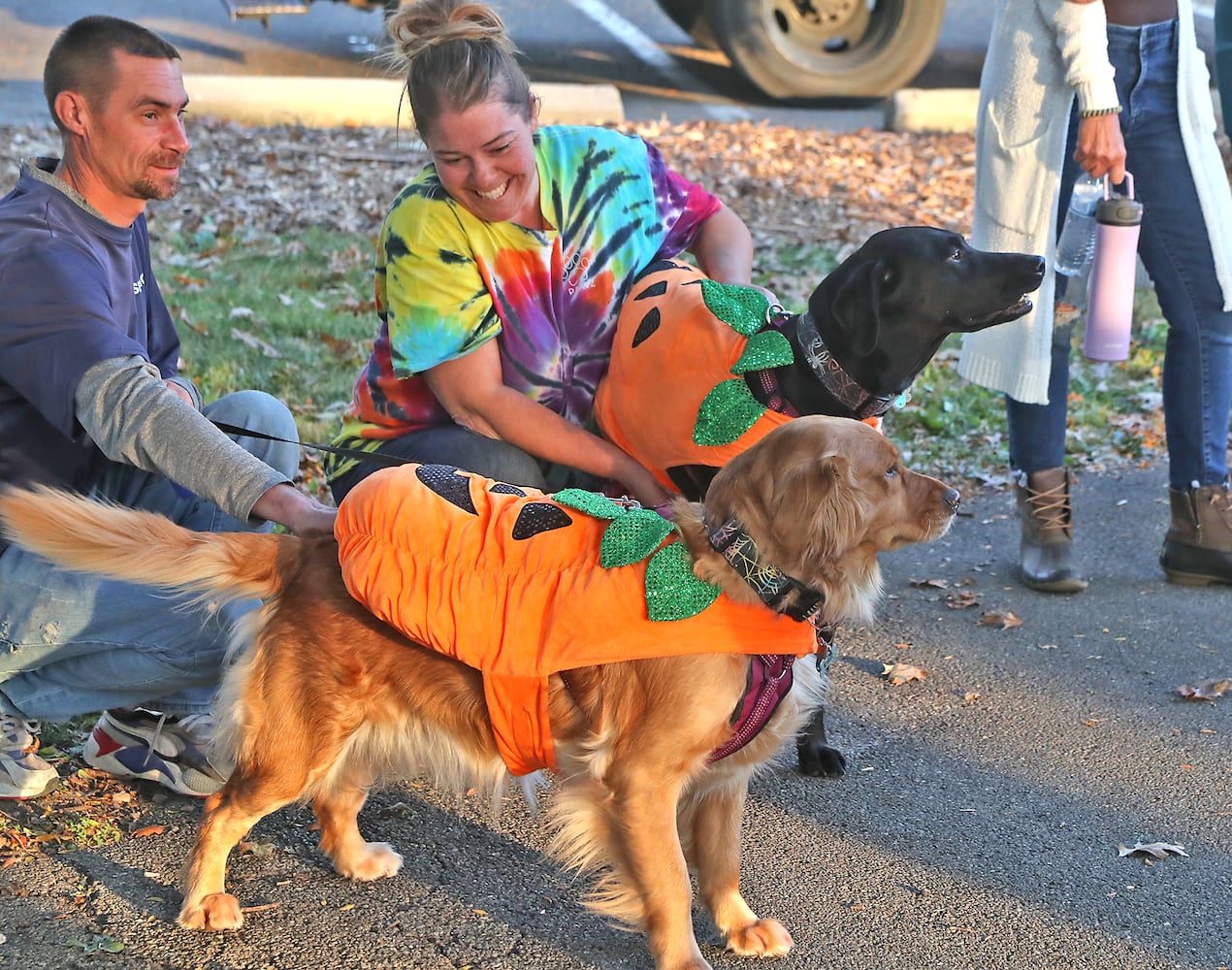 Yappy Howl-o-ween SNS