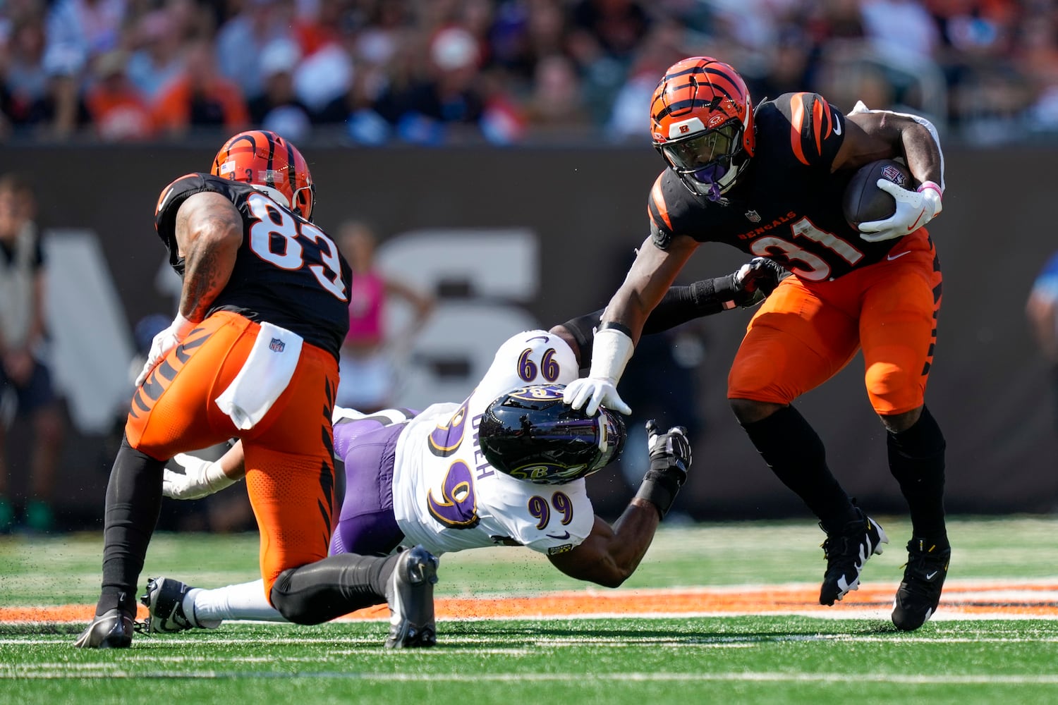 Ravens Bengals Football