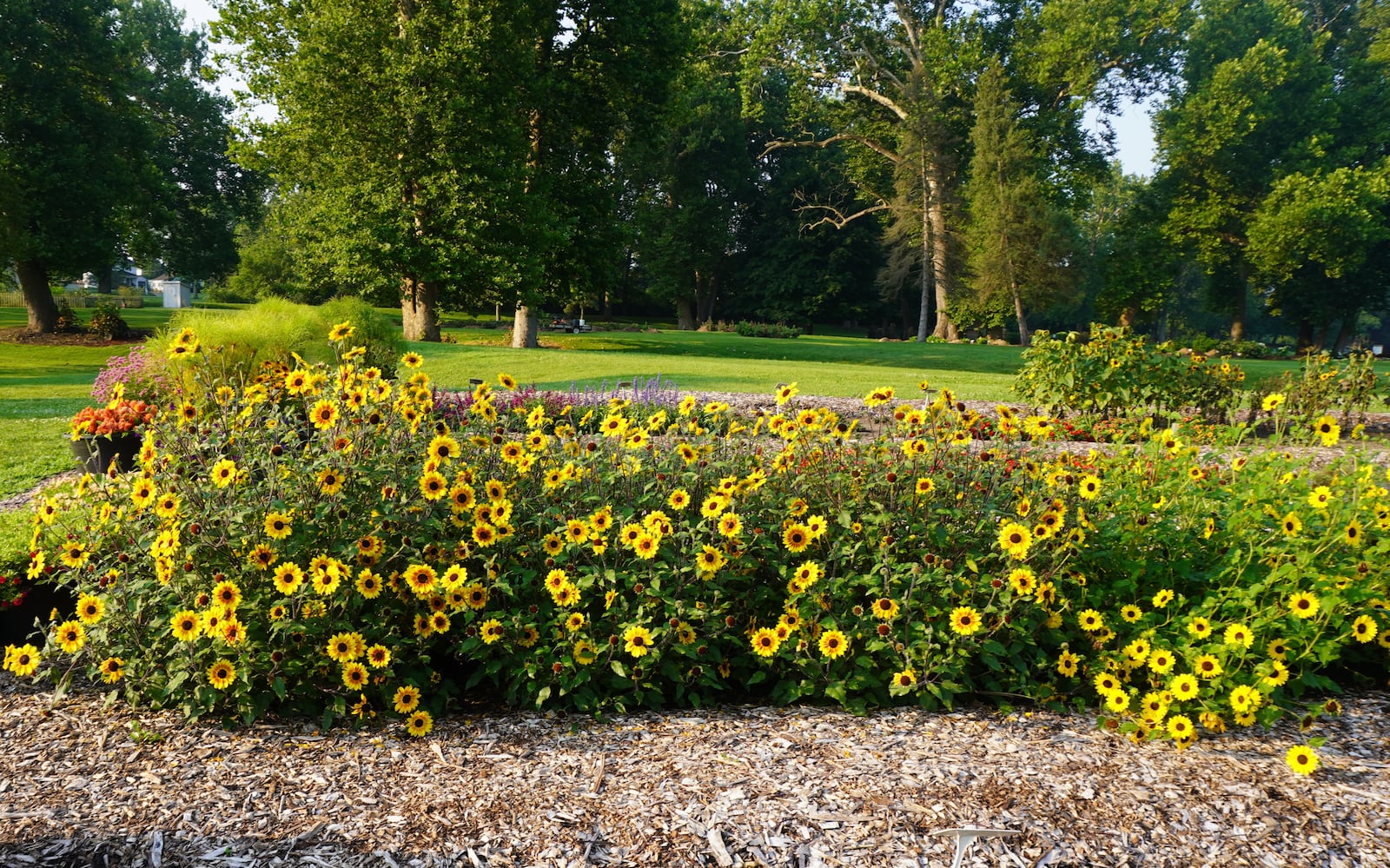 Cultivar trails and research are some of the Master Gardener volunteer projects. CONTRIBUTED/PAMELA BENNETT