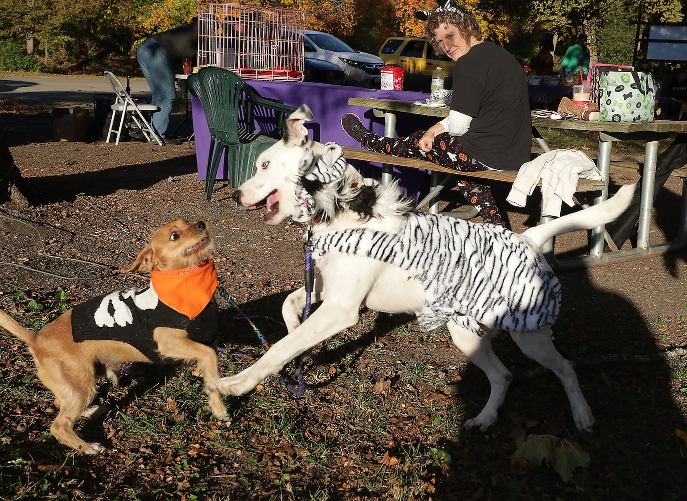 PHOTOS:  Yappy Howl-O-Ween