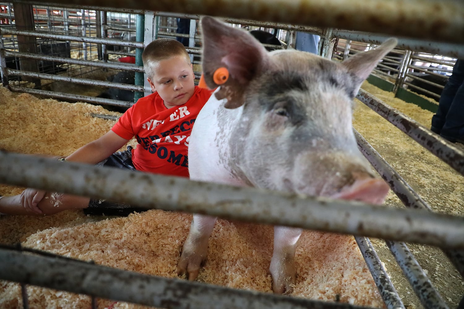 2018 Clark County Fair Day 5