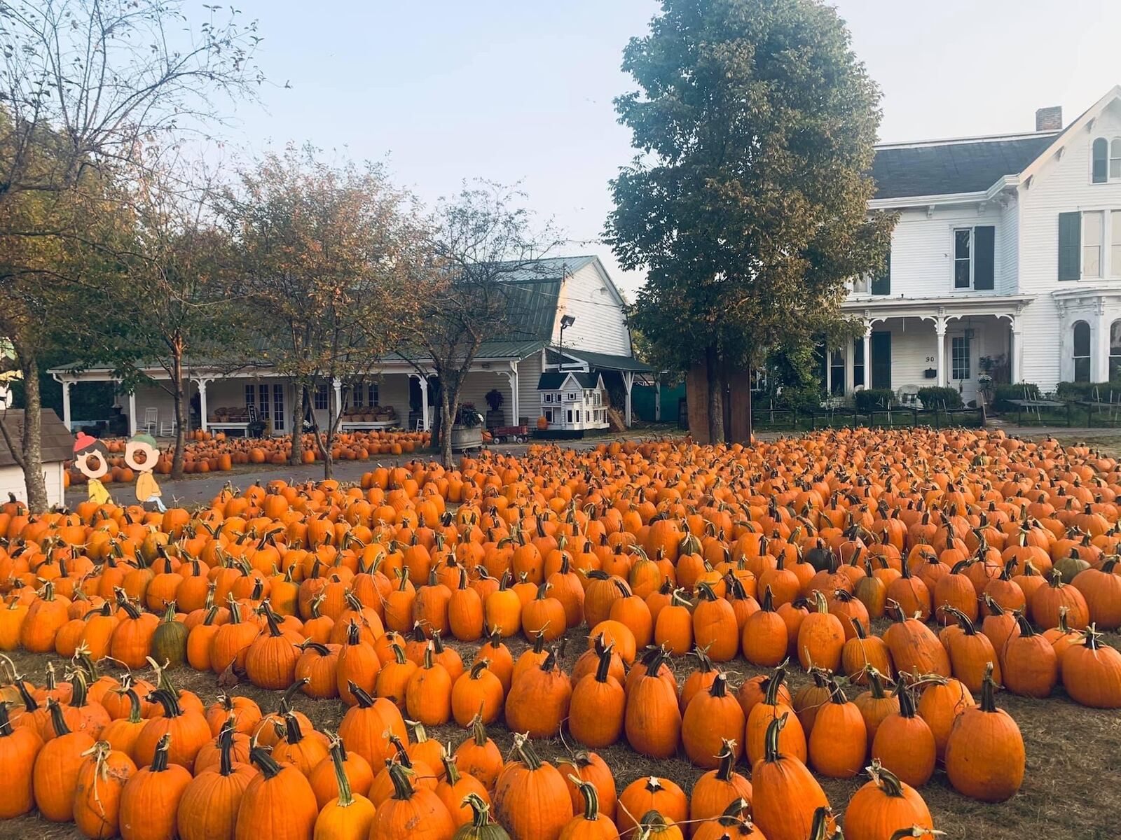 Kleather's Pumpkin Patch has a been a popular fall destination for almost half a century - CONTRIBUTED