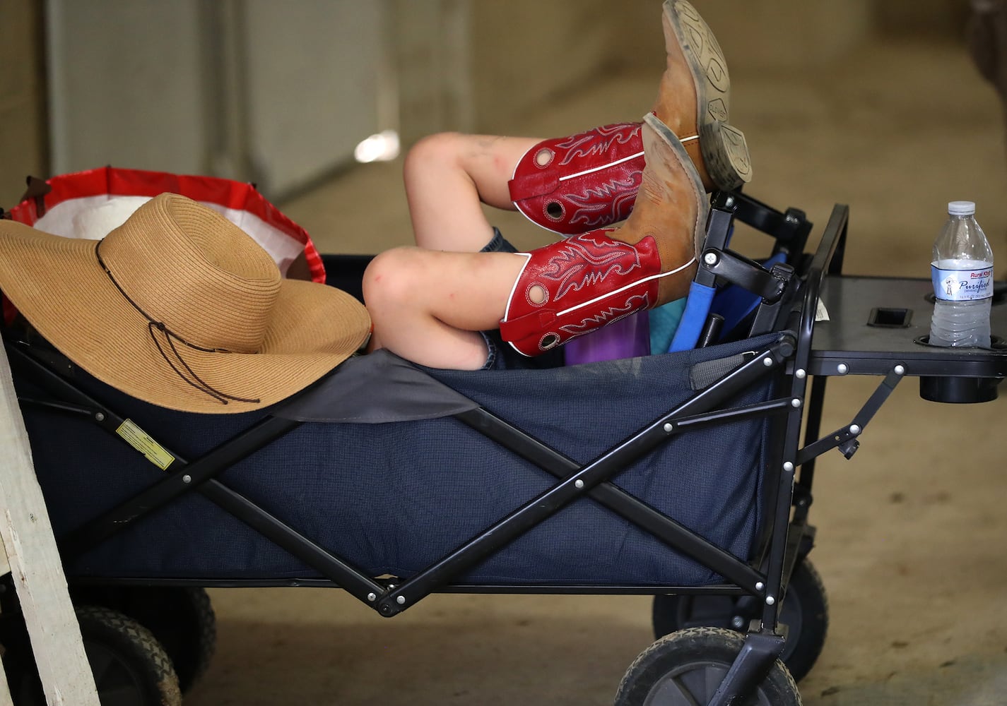 85 PHOTOS: 2019 Clark County Fair