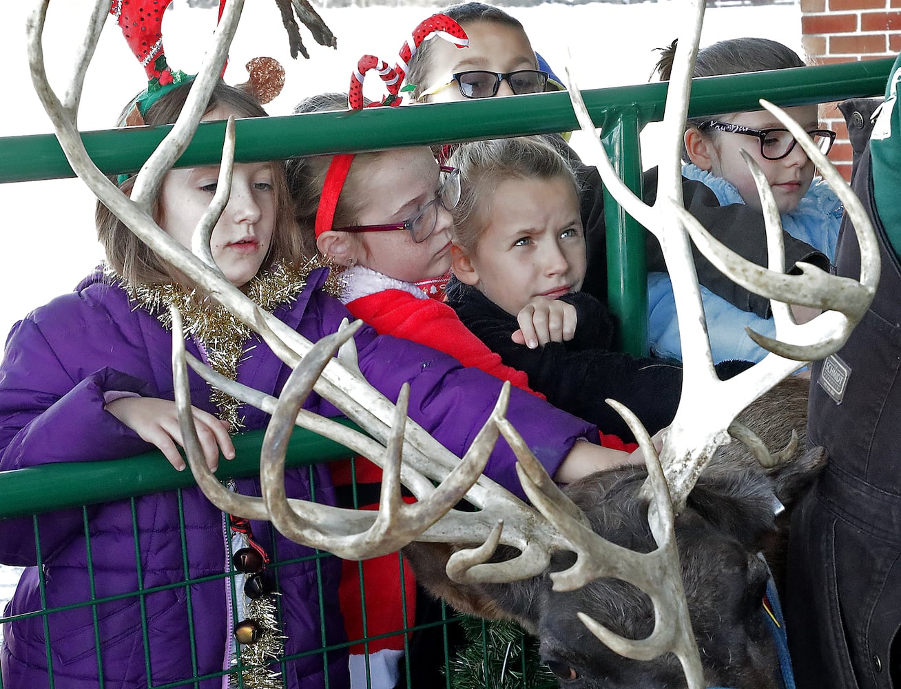 PHOTOS: Reindeers Visit South Vienna School