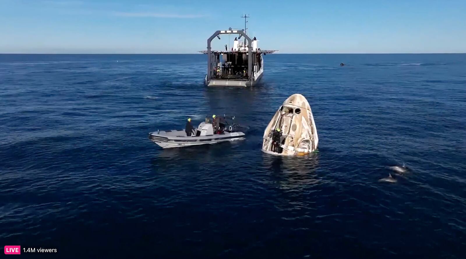 This image taken from video released by SpaceX shows dolphins swimming near a SpaceX capsule, Tuesday, March 18, 2025, after landing off the coast of Florida with NASA astronauts Suni Williams, Butch Wilmore and Nick Hague, and Russian cosmonaut Alexander Gorbunov. (SpaceX via AP)