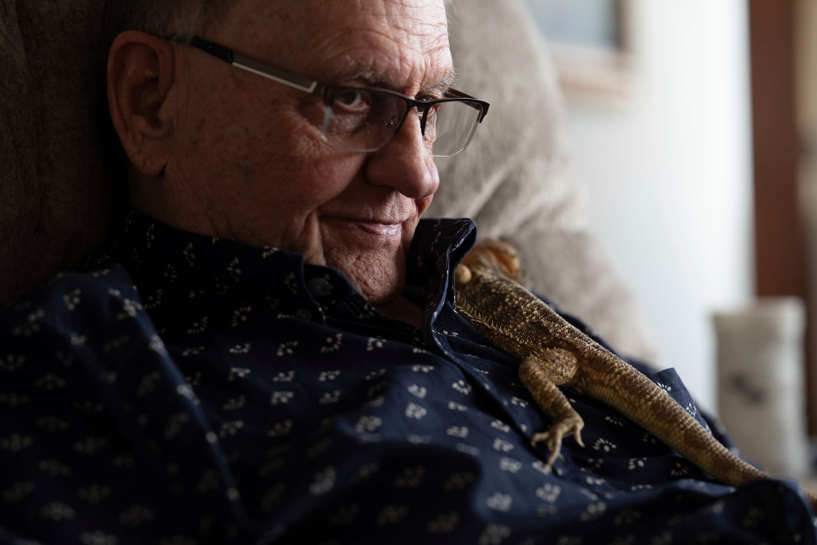 Rod Conover sits with his pet lizard Buddy in his apartment at Smith Tower Apartments on Monday, March 10, 2025, in Vancouver, Wash. (AP Photo/Jenny Kane)