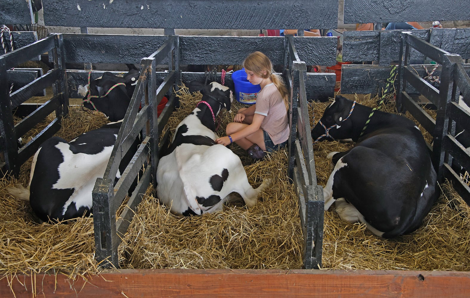 072224 Clark County Fair SNS