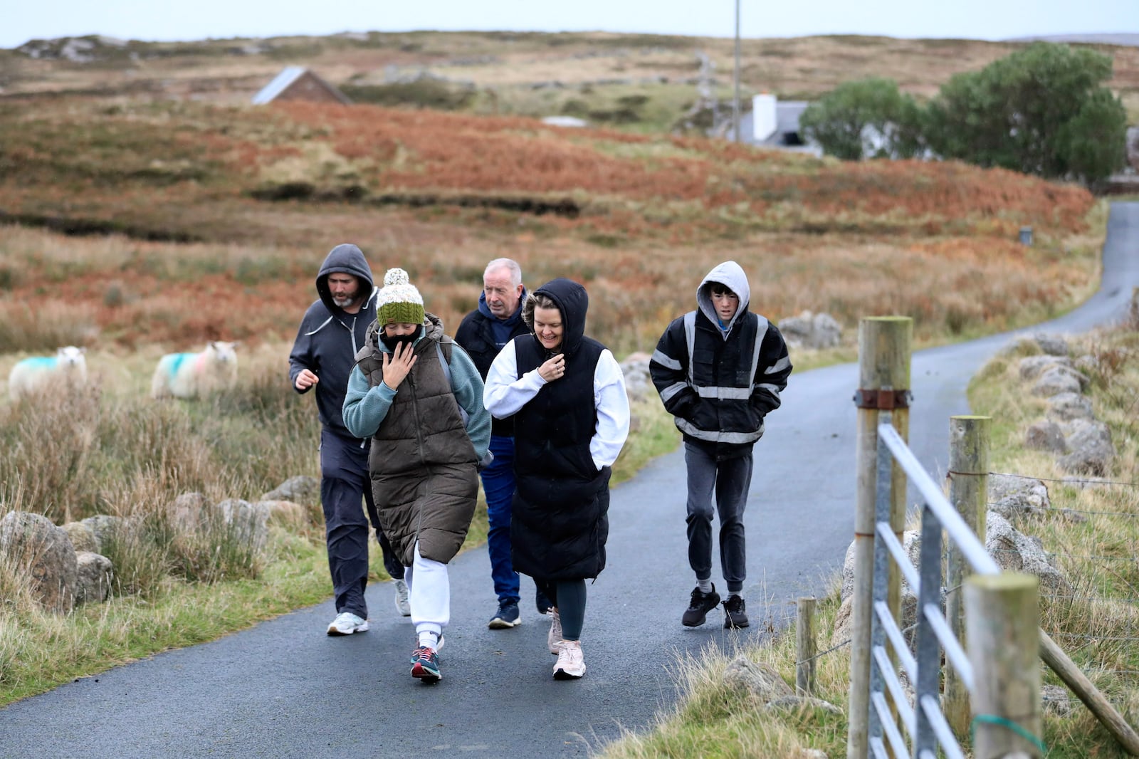 Island residents walk to a polling station on the Island of Gola as voters go to polls the for the 2024 General Election in Ireland, Friday, Nov. 29, 2024. (AP Photo/Peter Morrison)