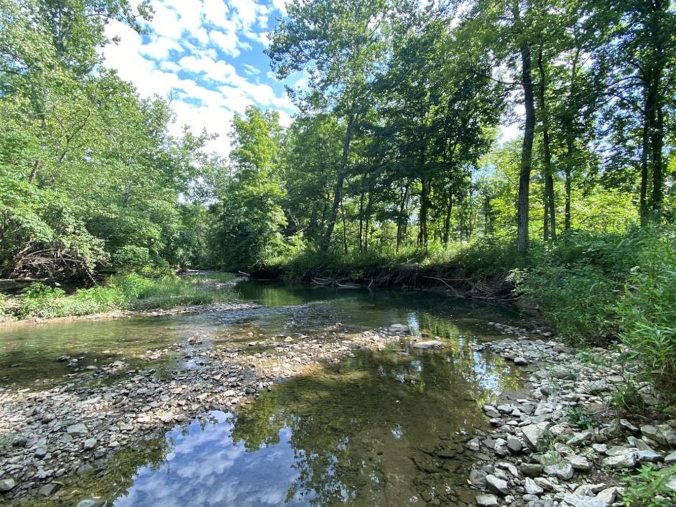 Holes Creek erosion 2