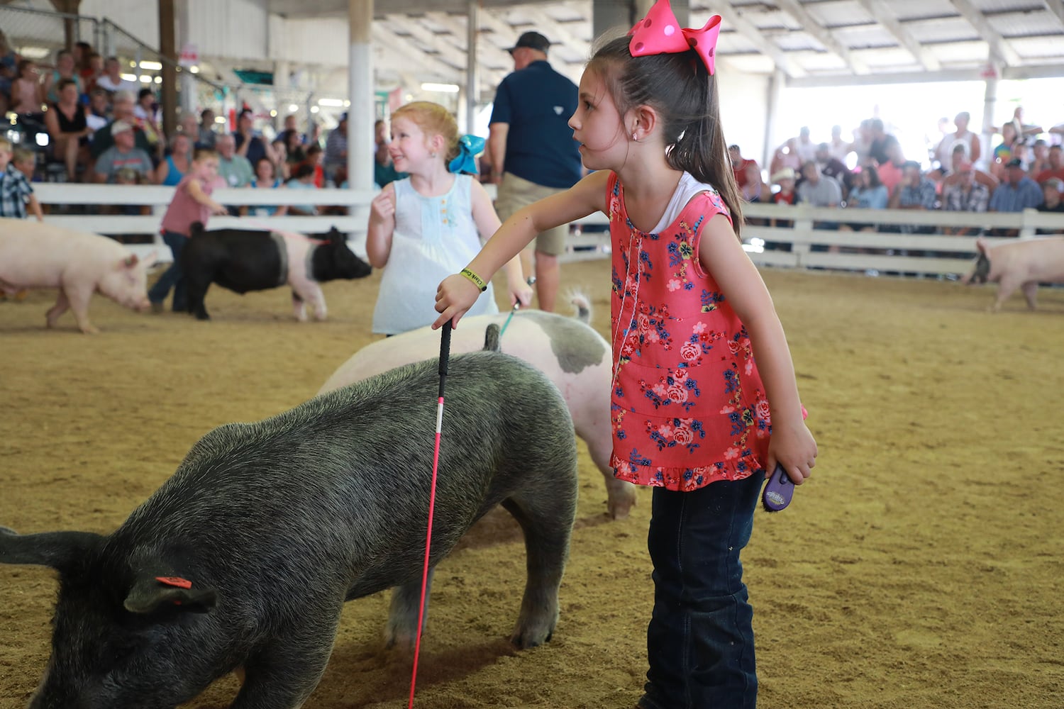 85 PHOTOS: 2019 Clark County Fair