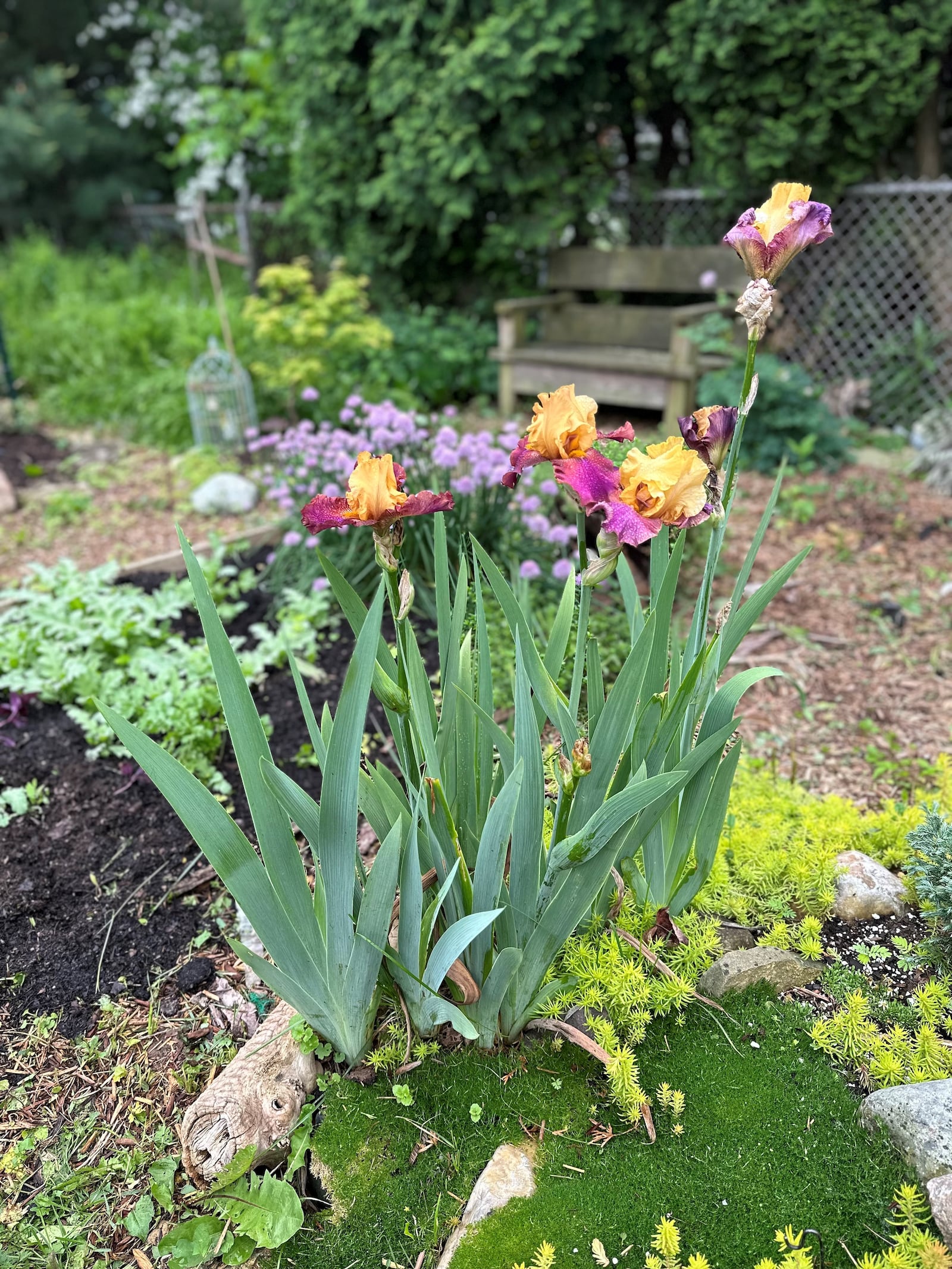 "There is something so decadent about having flowers in my home throughout the season," says Kathleen Tandy. ROBIN McMACKEN/STAFF 