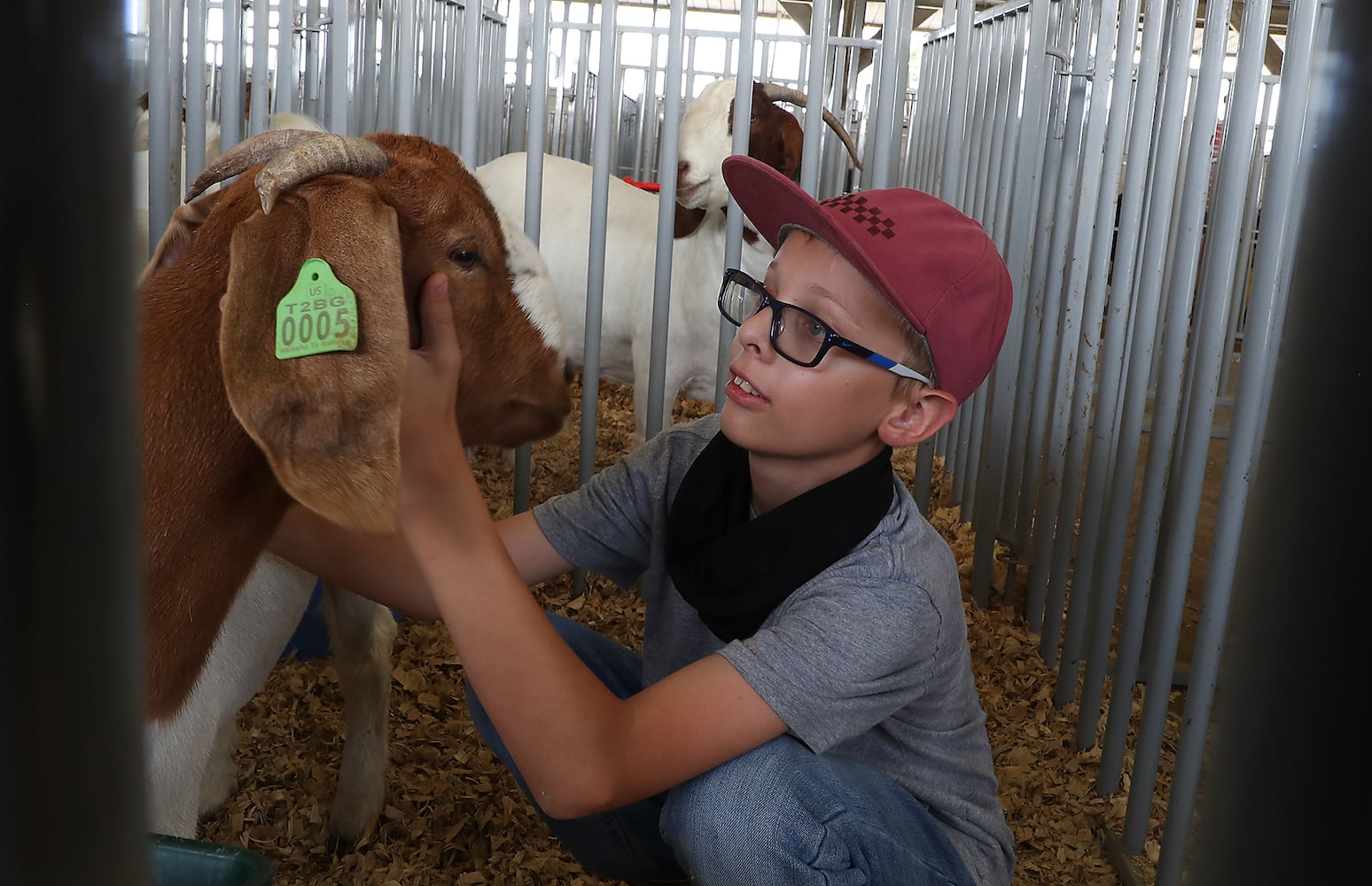 Clark County Fair