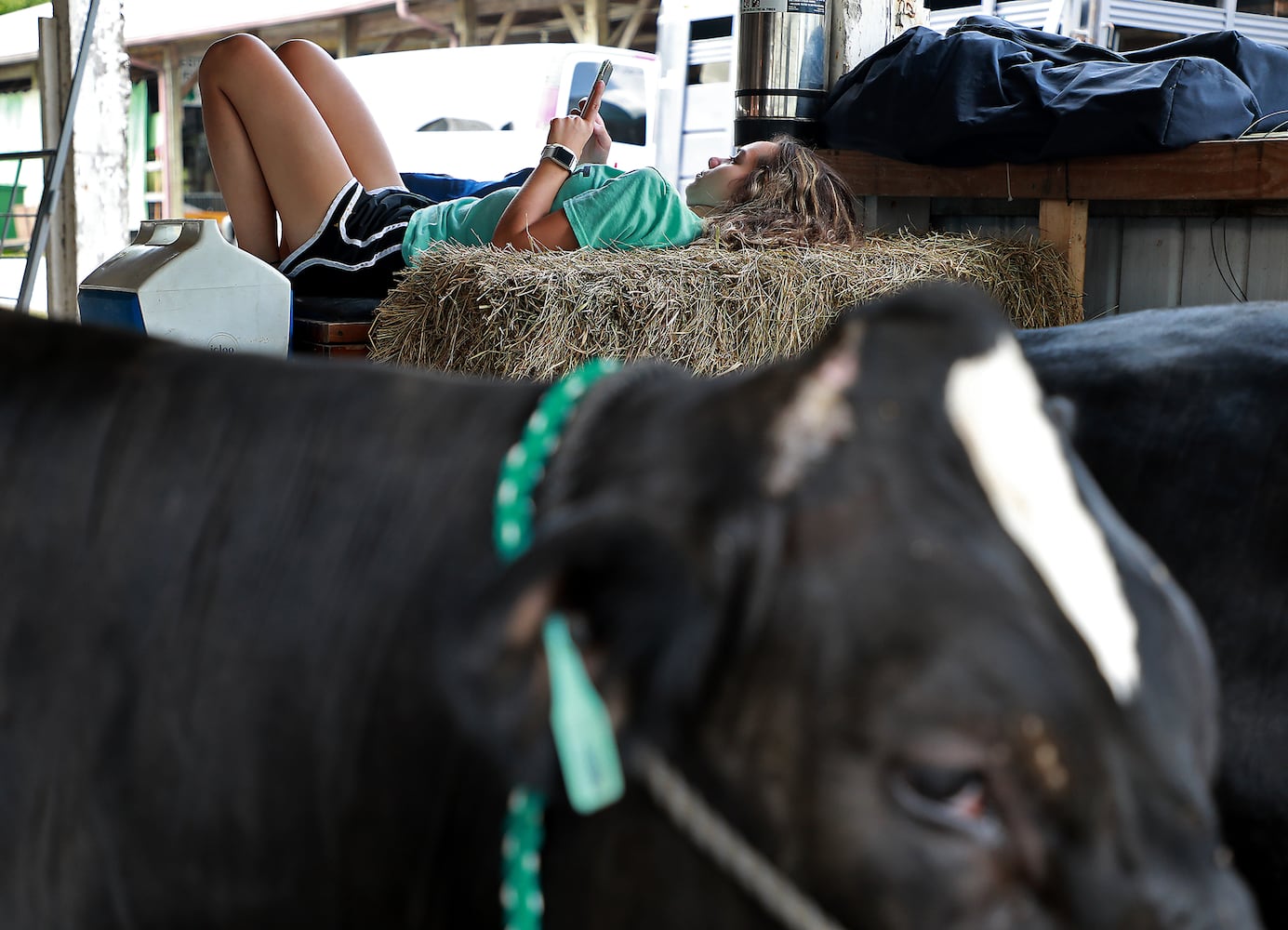 PHOTOS: 2019 Champaign County Fair Opens