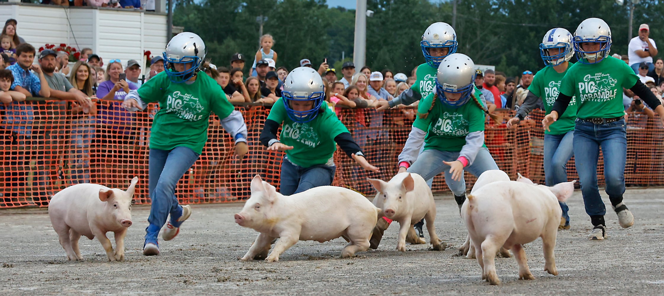 Champaign Co Fair SNS