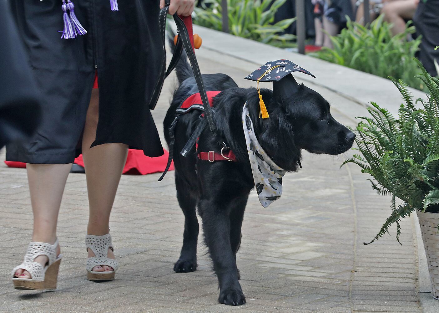 051522 Wittenberg Graduation SNS