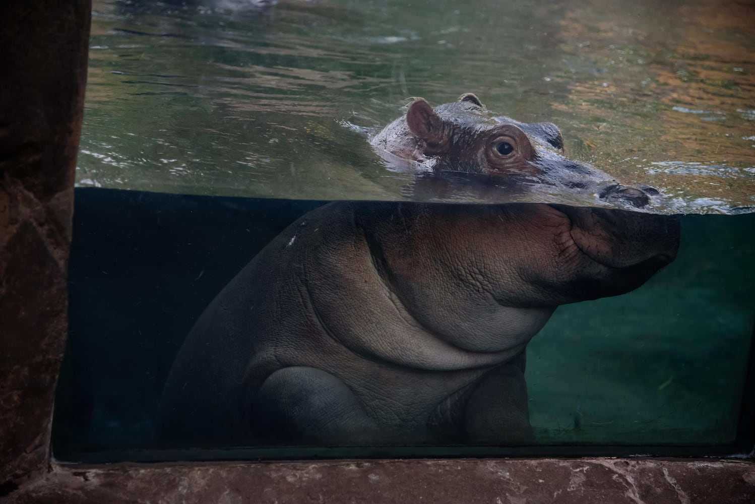 BEHIND THE SCENES: Take a look at what Fiona and Bibi are up to after hours