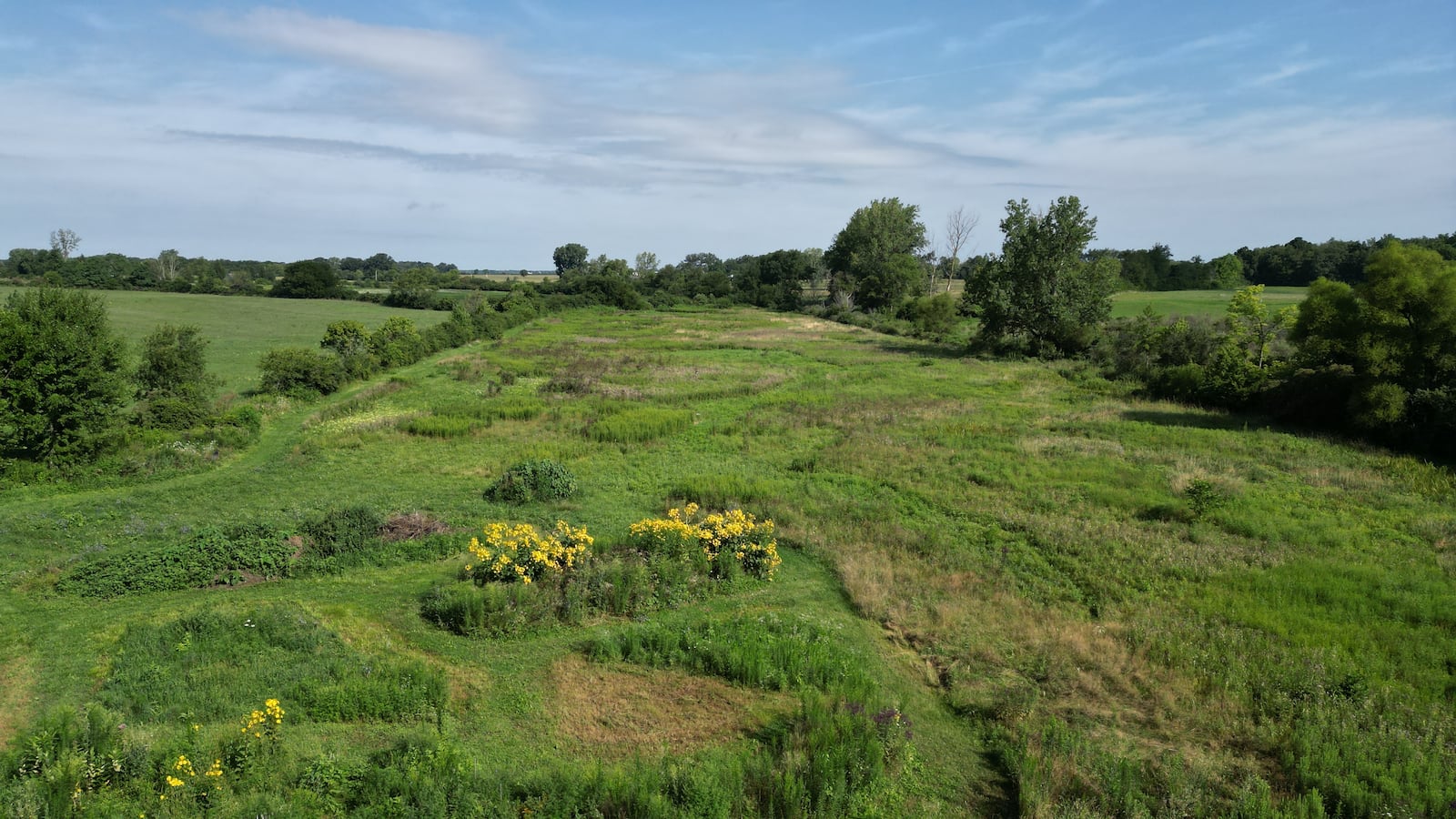 Aerial view of the wetland adjacent to Rainbow Run, which will benefit from state-funded restoration work.