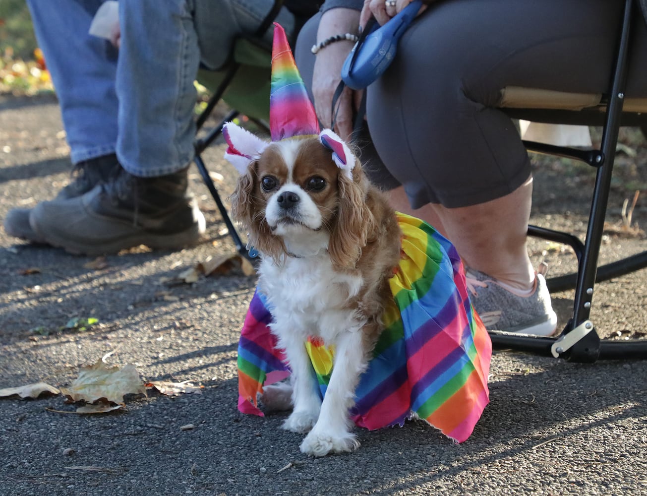 PHOTOS:  Yappy Howl-O-Ween