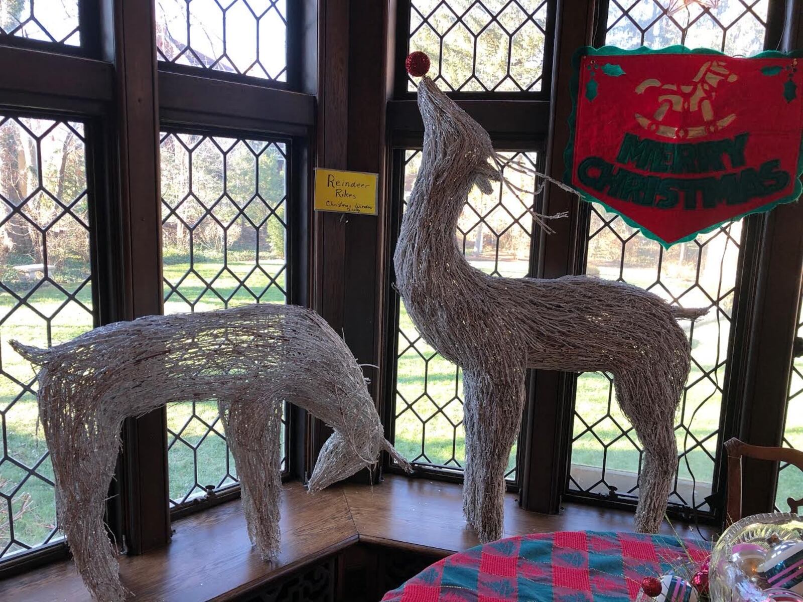 The Rike's reindeer on display inside Bough Bend's library in Oakwood. Photo courtesy of Dr. Samia Borchers